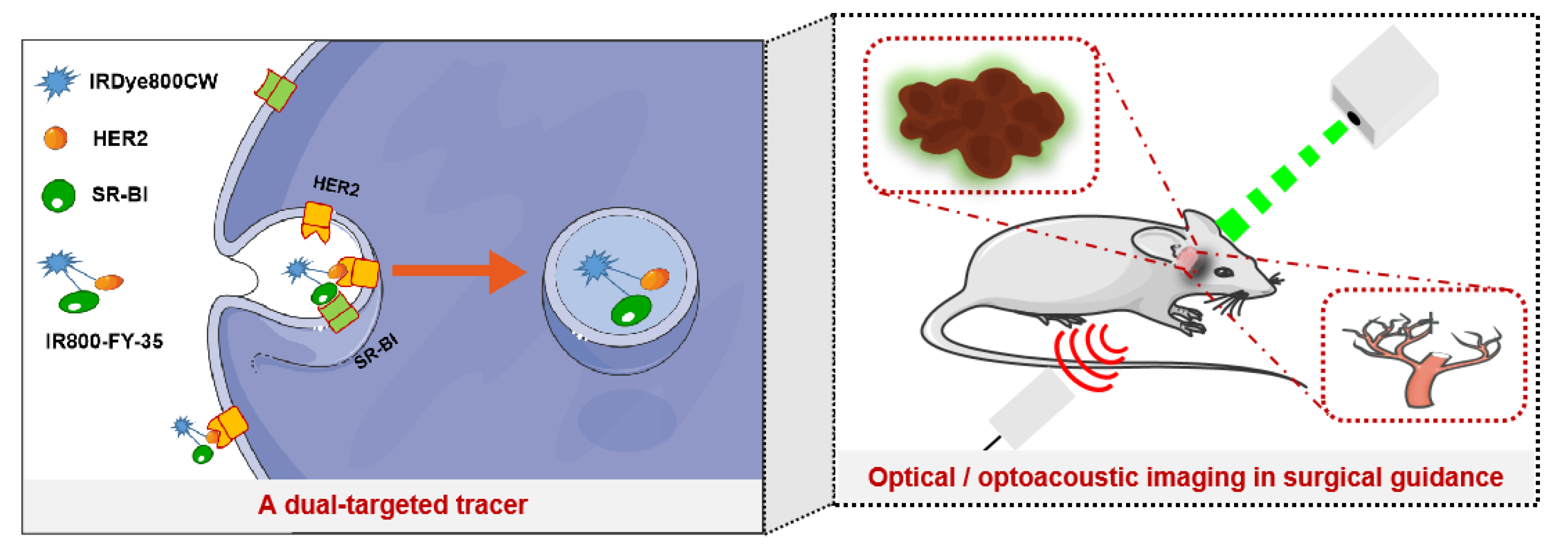 Biosensors 12 00729 g001 550