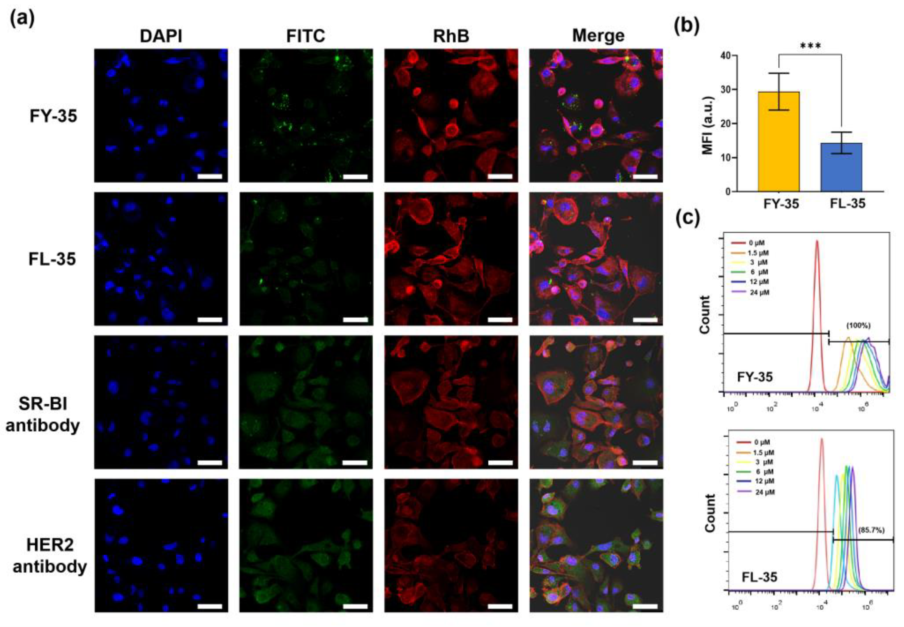 Biosensors 12 00729 g003 550