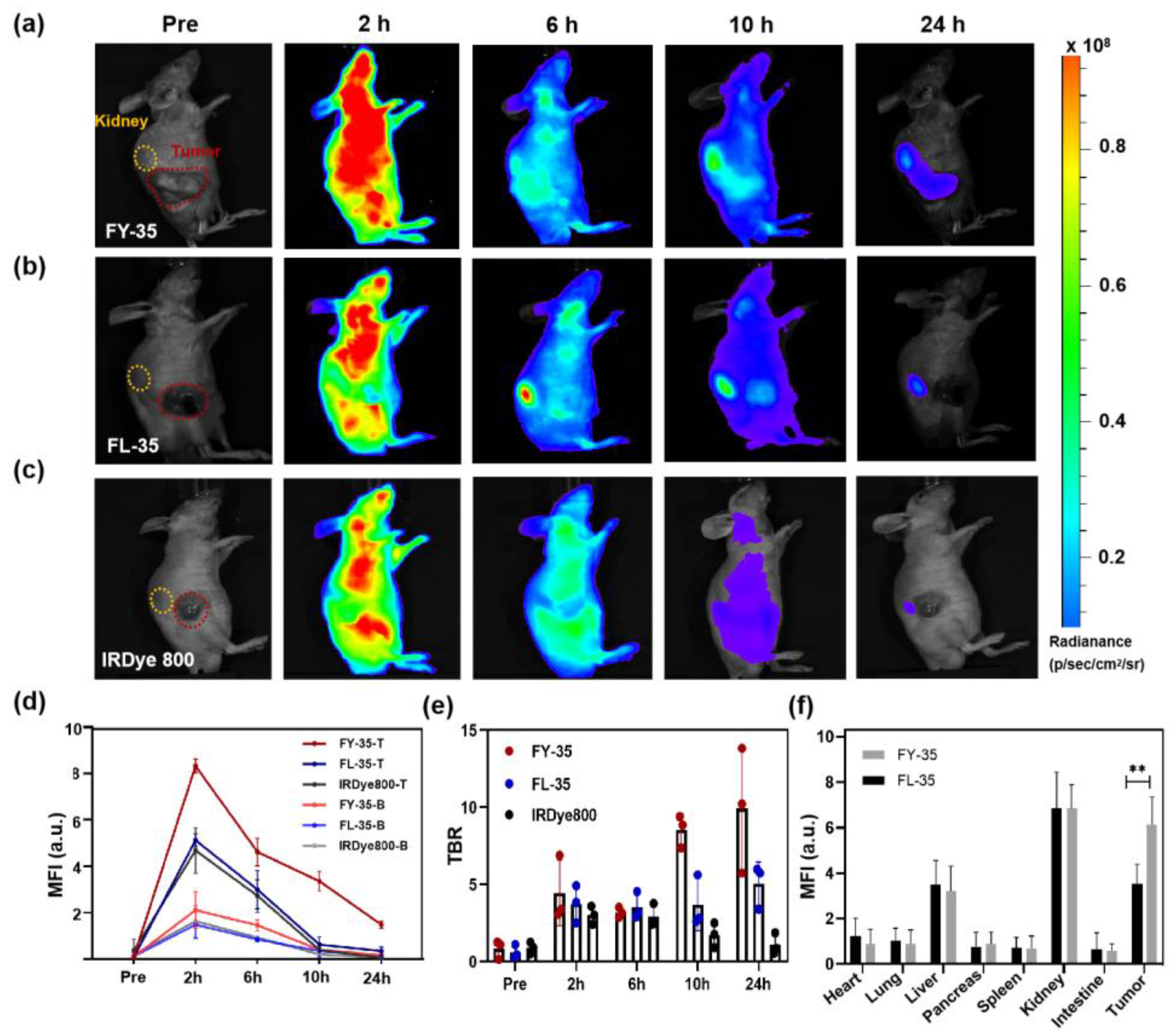 Biosensors 12 00729 g004 550