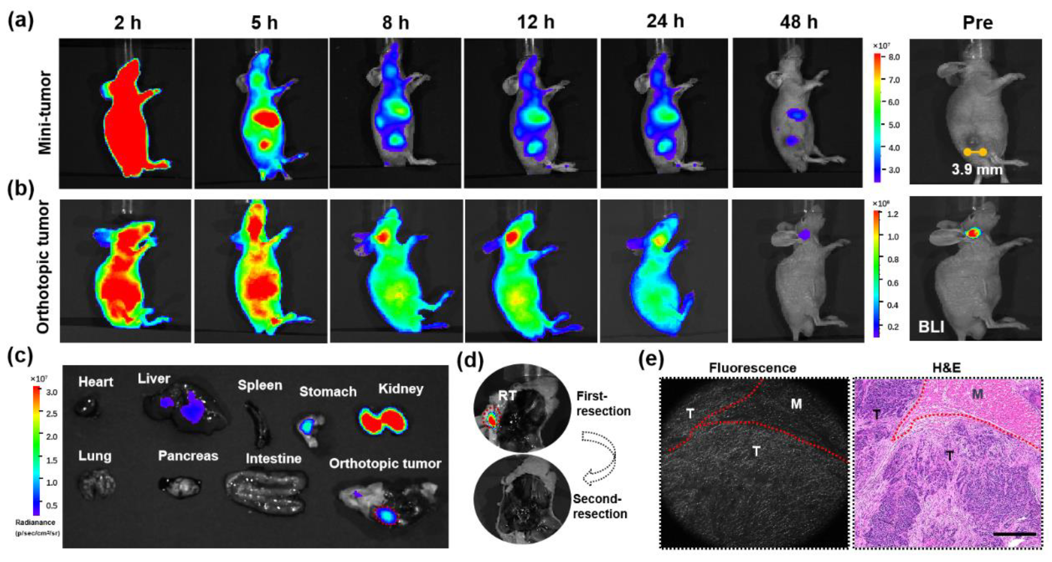 Biosensors 12 00729 g006 550