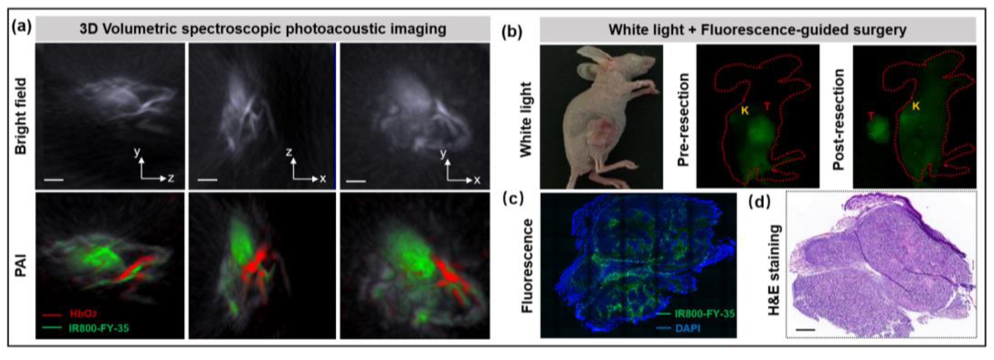 Biosensors 12 00729 g007 550