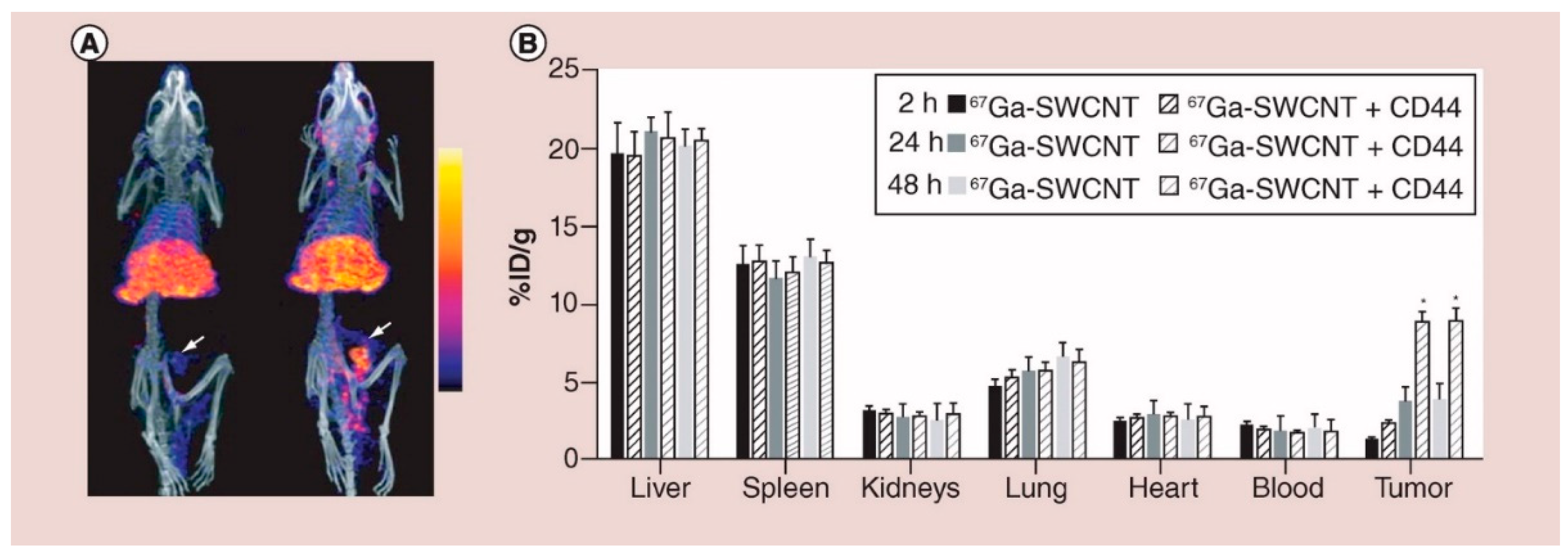 Biosensors 12 00731 g002 Biosensors 12 00731 g002