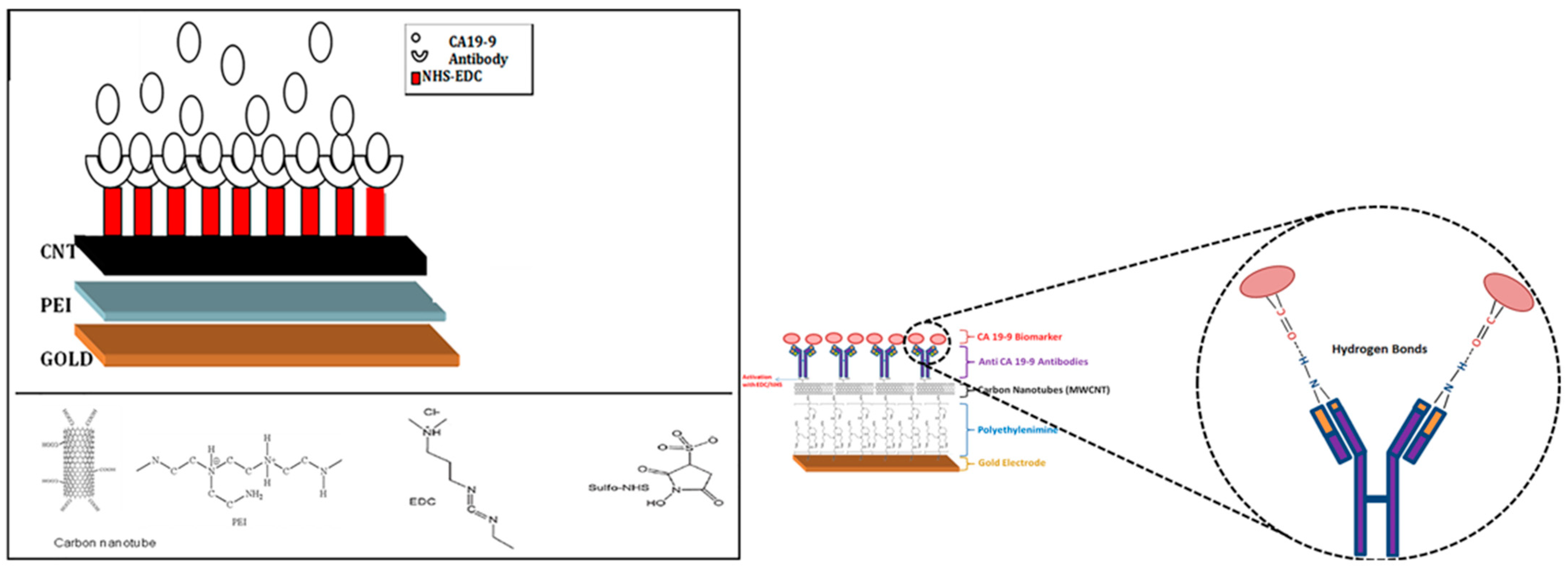 Biosensors 12 00731 g004 Biosensors 12 00731 g004