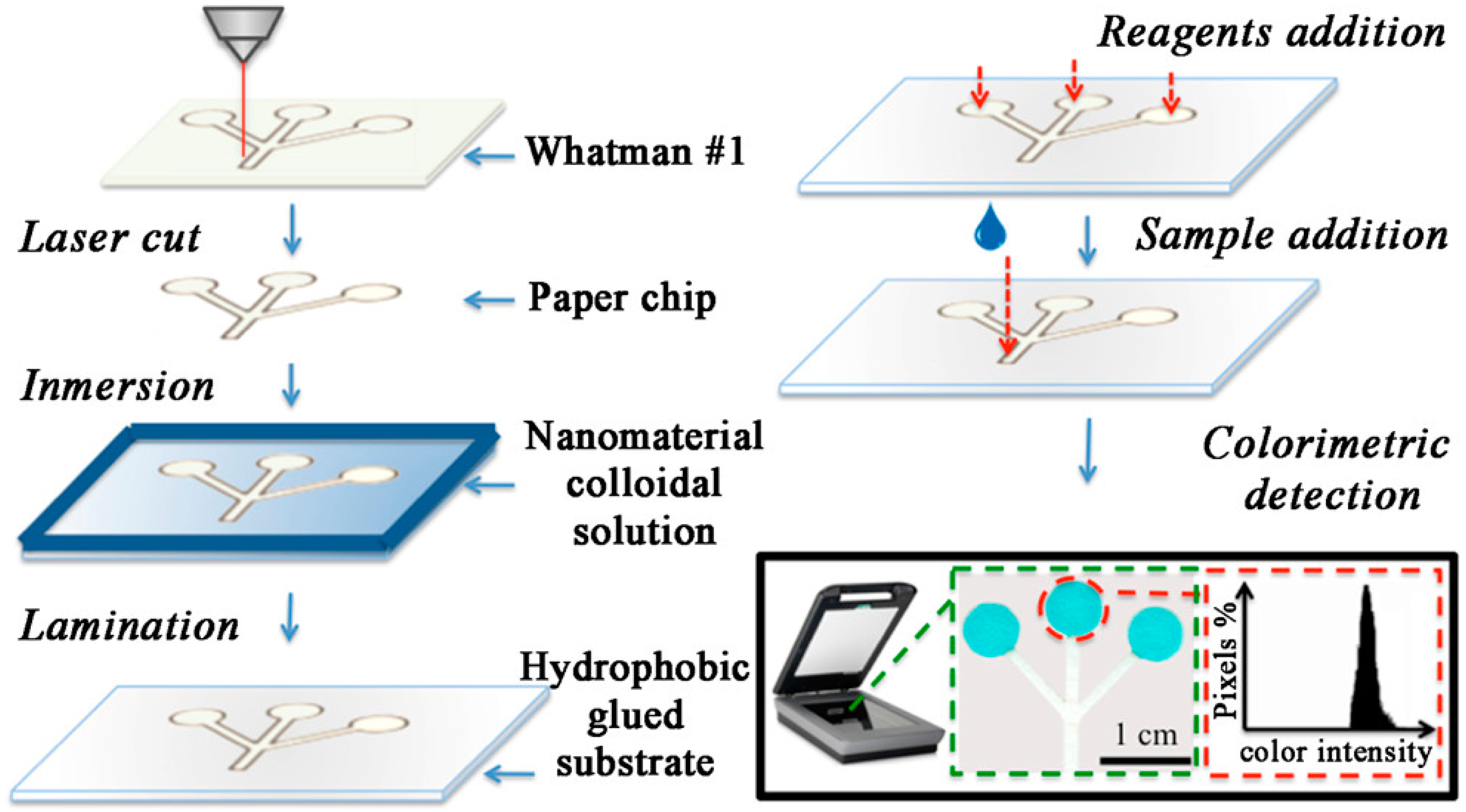 Biosensors 12 00731 g008 Biosensors 12 00731 g008