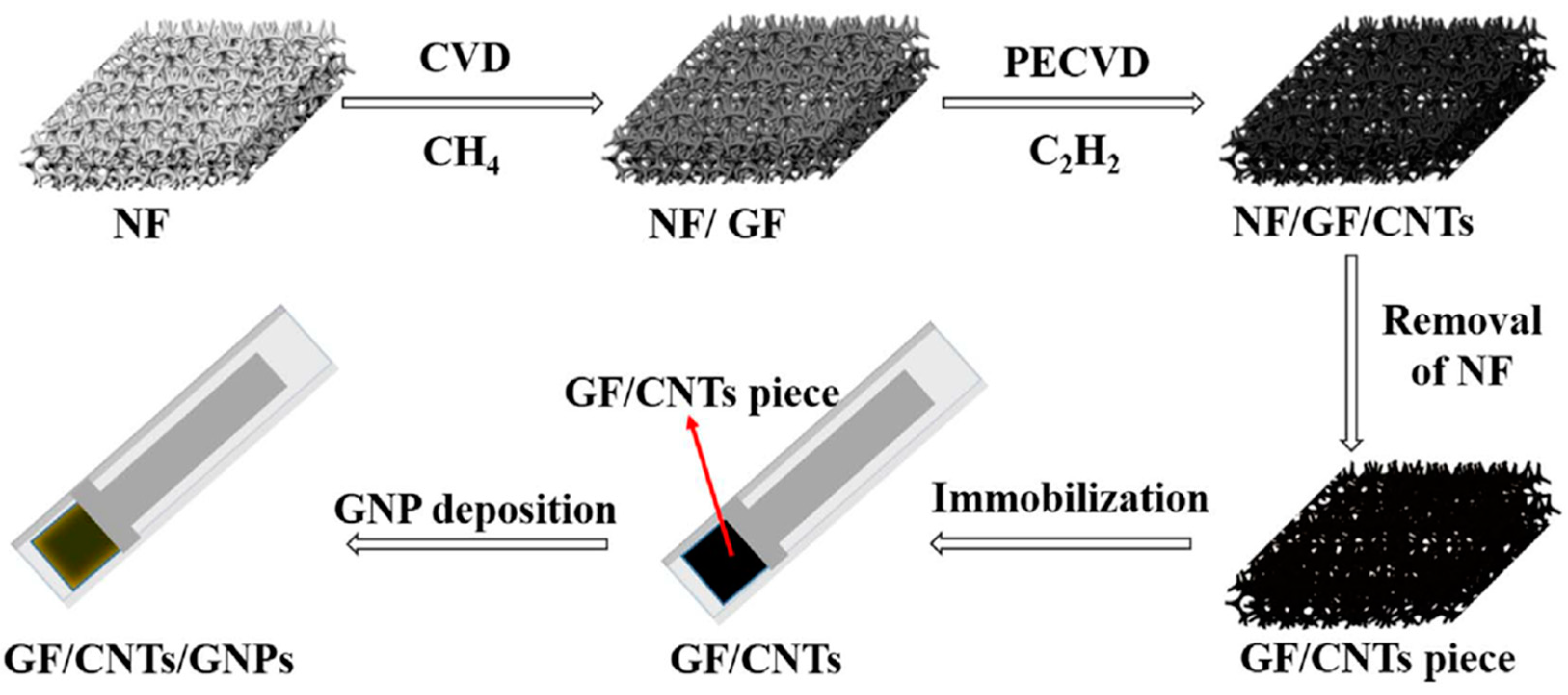 Biosensors 12 00731 g010 Biosensors 12 00731 g010