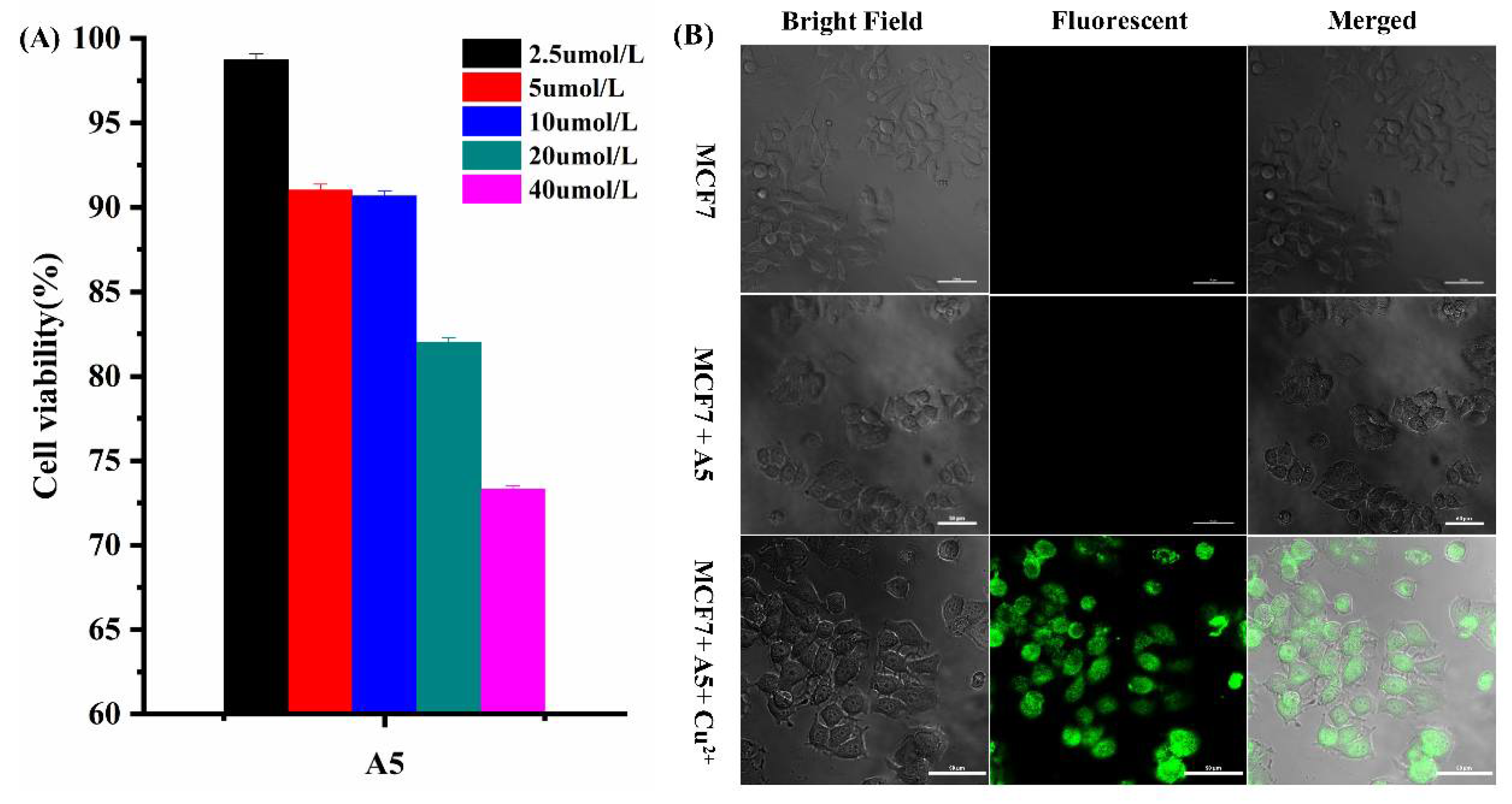 Biosensors 12 00732 g006