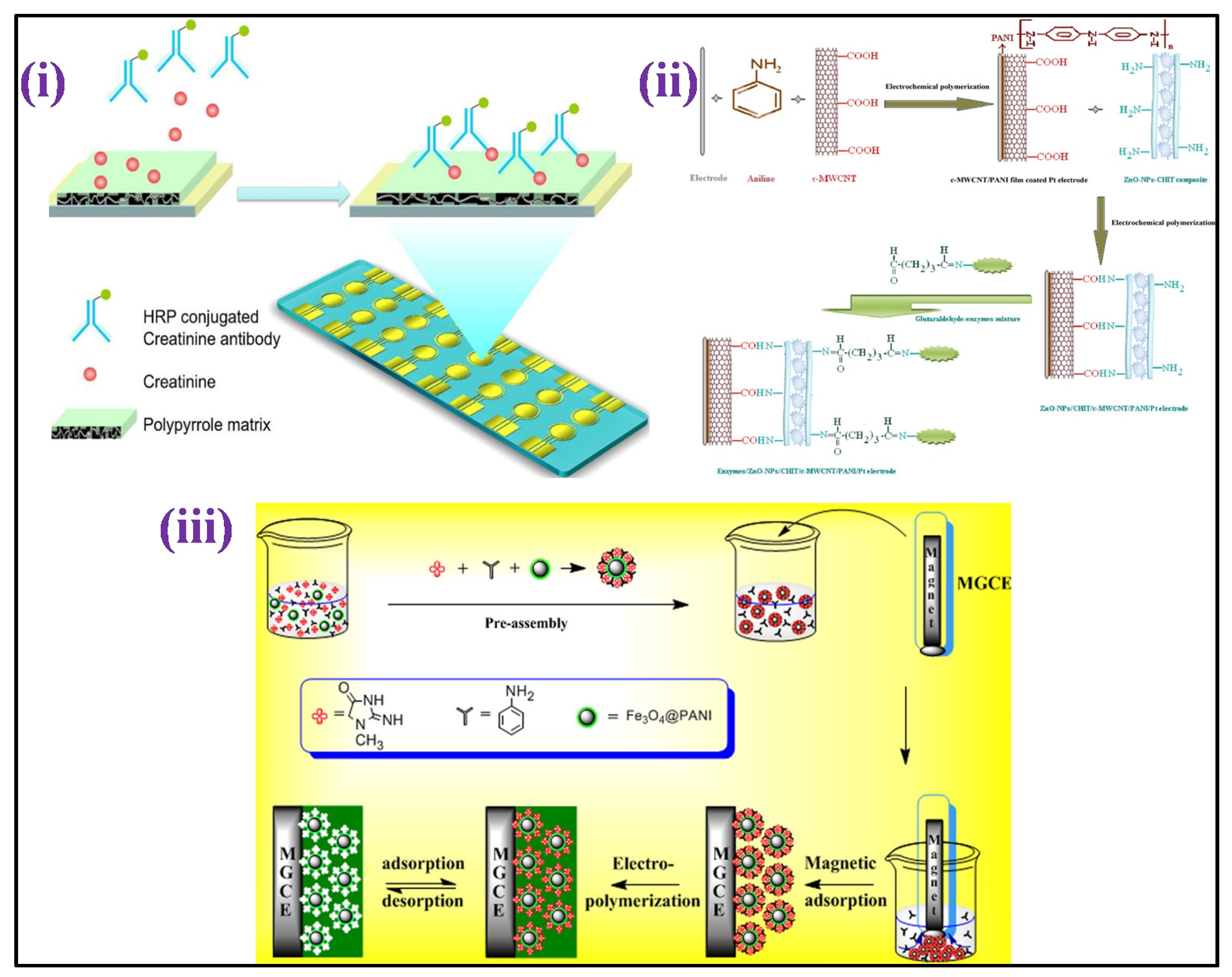 Biosensors 12 00733 g006 Biosensors 12 00733 g006