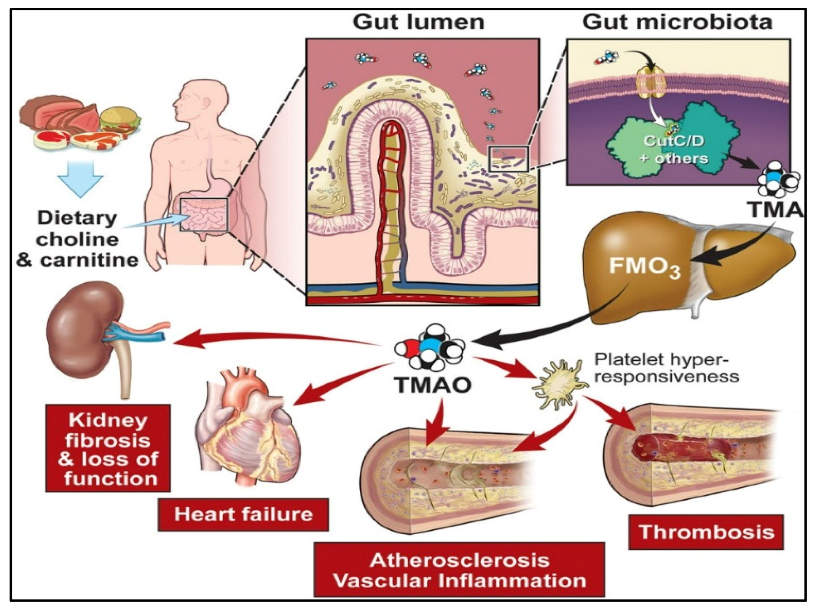 Biosensors 12 00733 g007 Biosensors 12 00733 g007