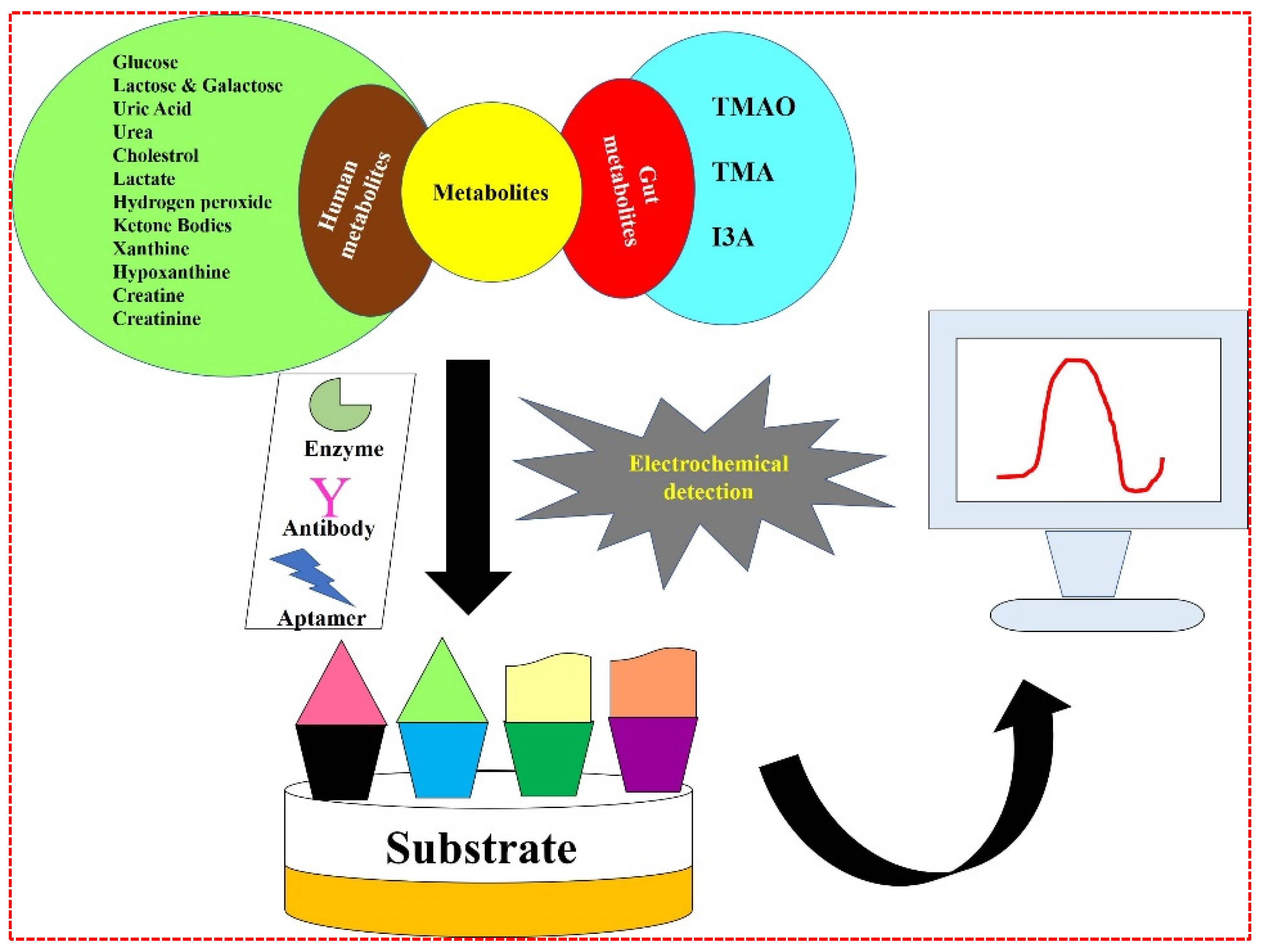 Biosensors 12 00733 g010 Biosensors 12 00733 g010