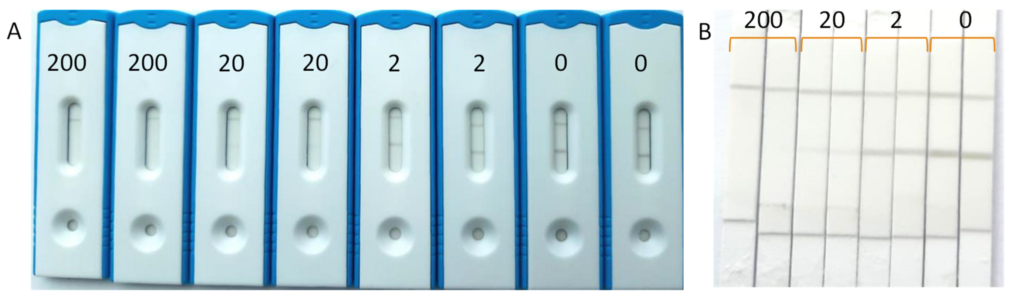 Biosensors 12 00735 g004