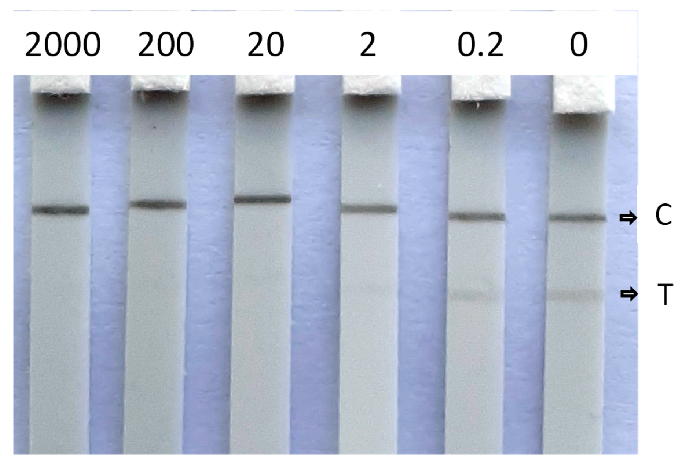 Biosensors 12 00735 g006