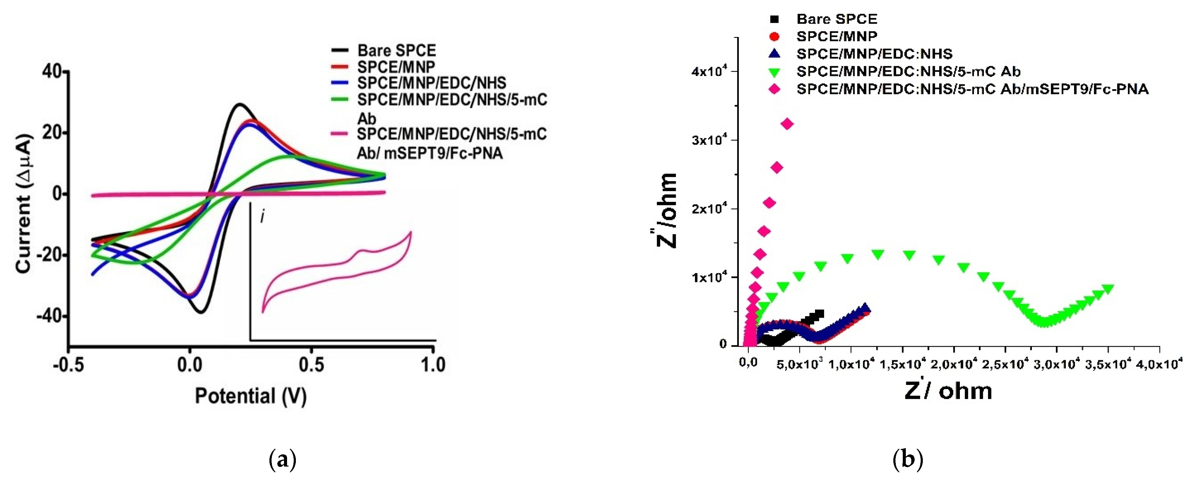 Biosensors 12 00736 g003