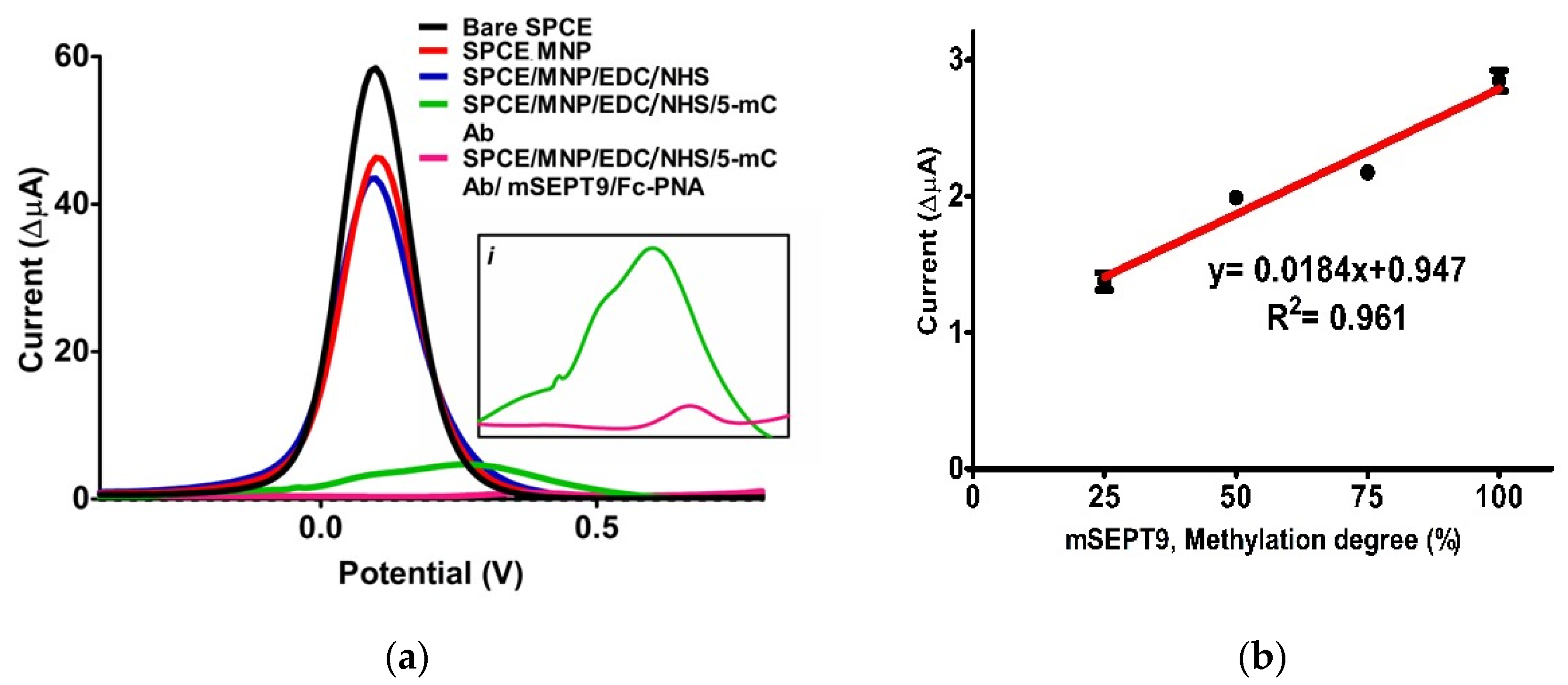 Biosensors 12 00736 g004