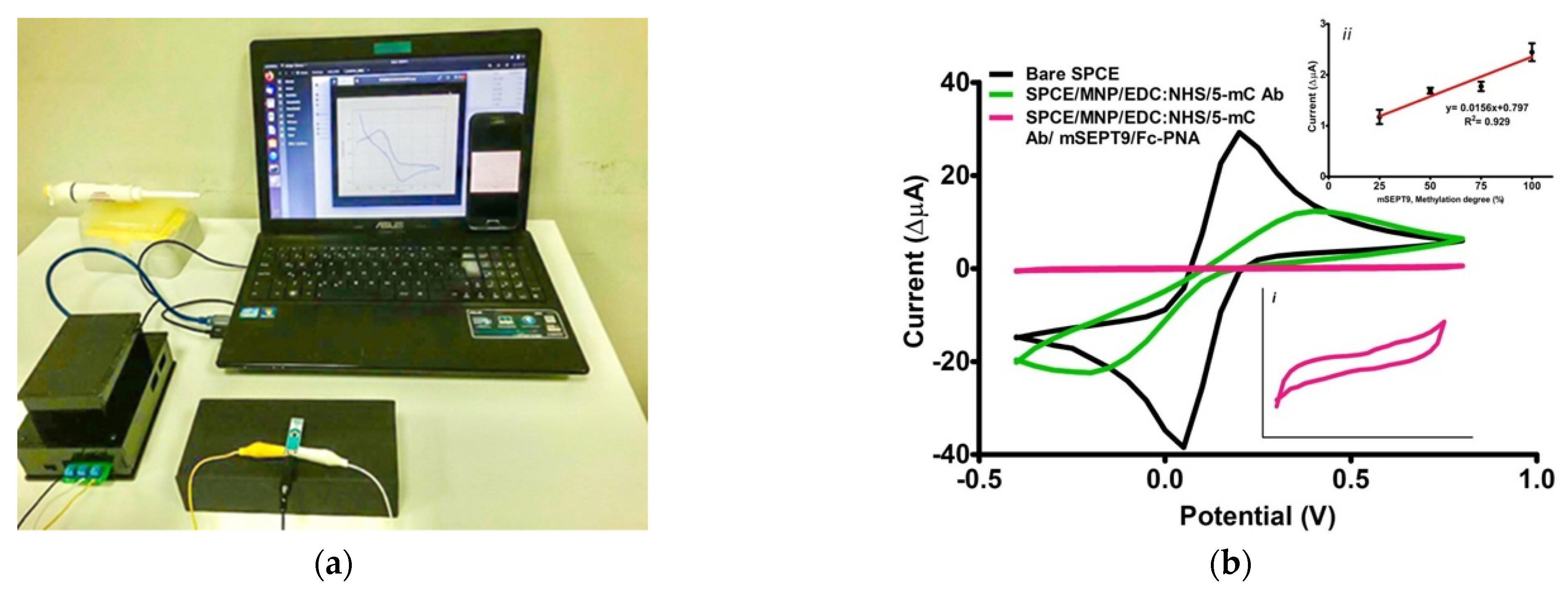 Biosensors 12 00736 g007
