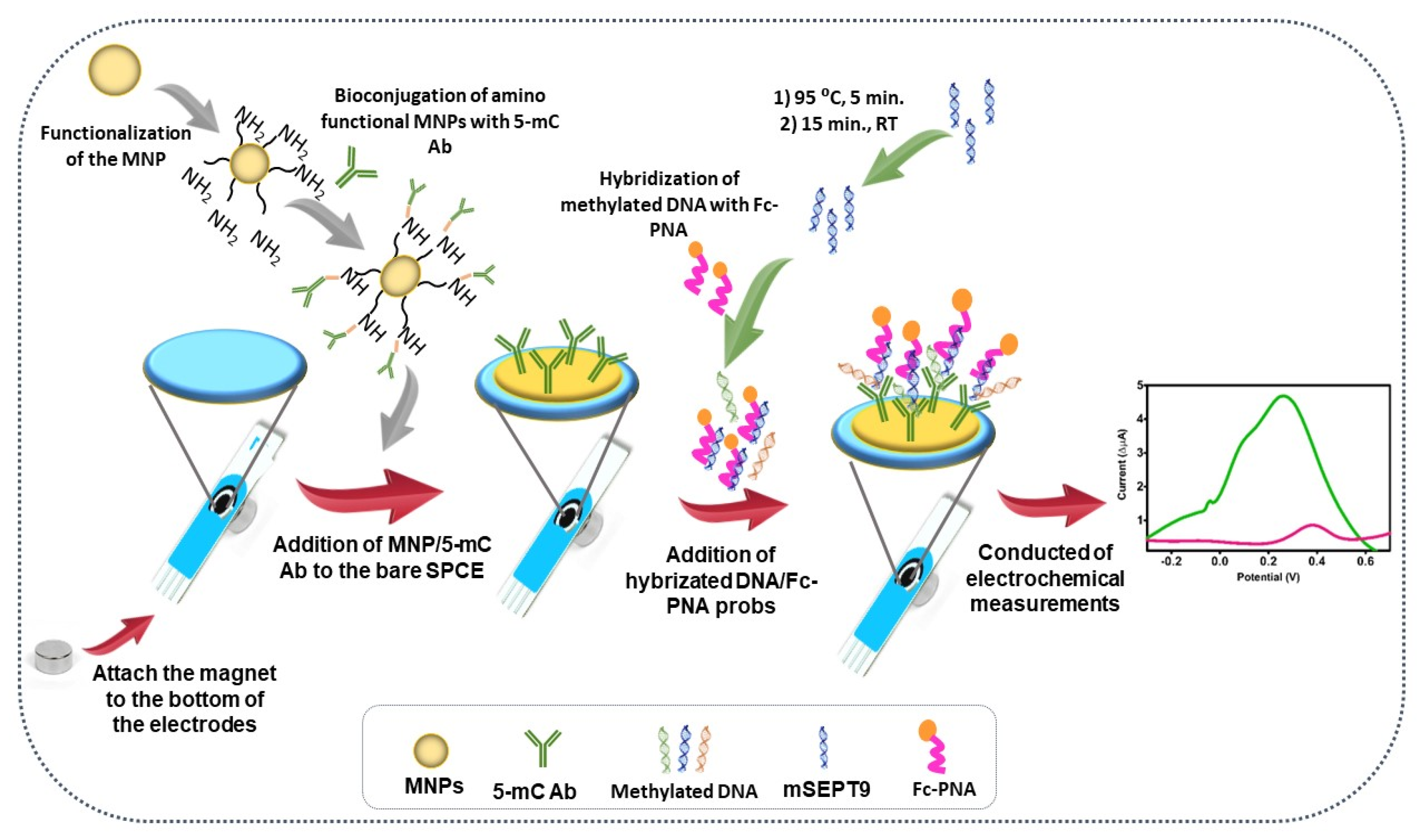 Biosensors 12 00736 sch001