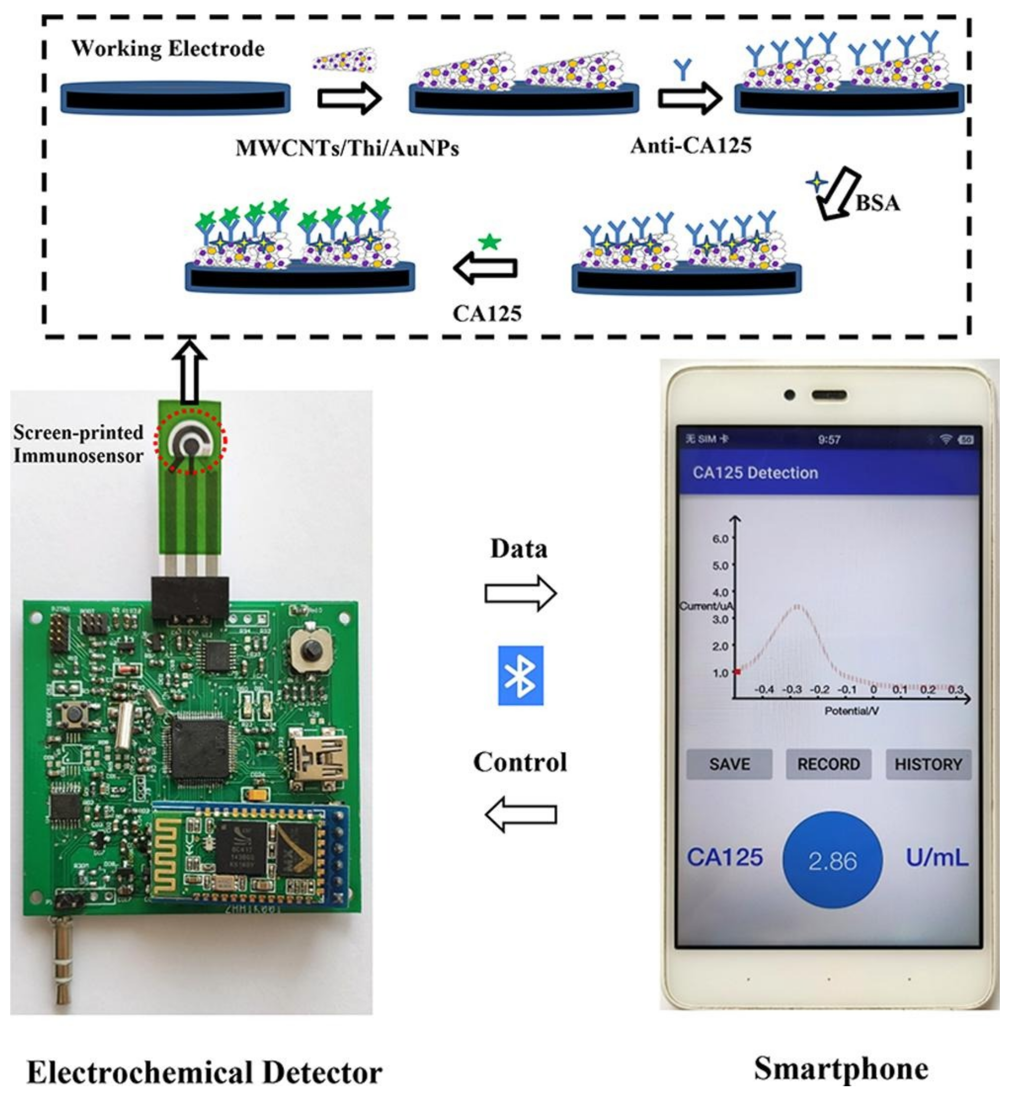 Biosensors 12 00737 g006