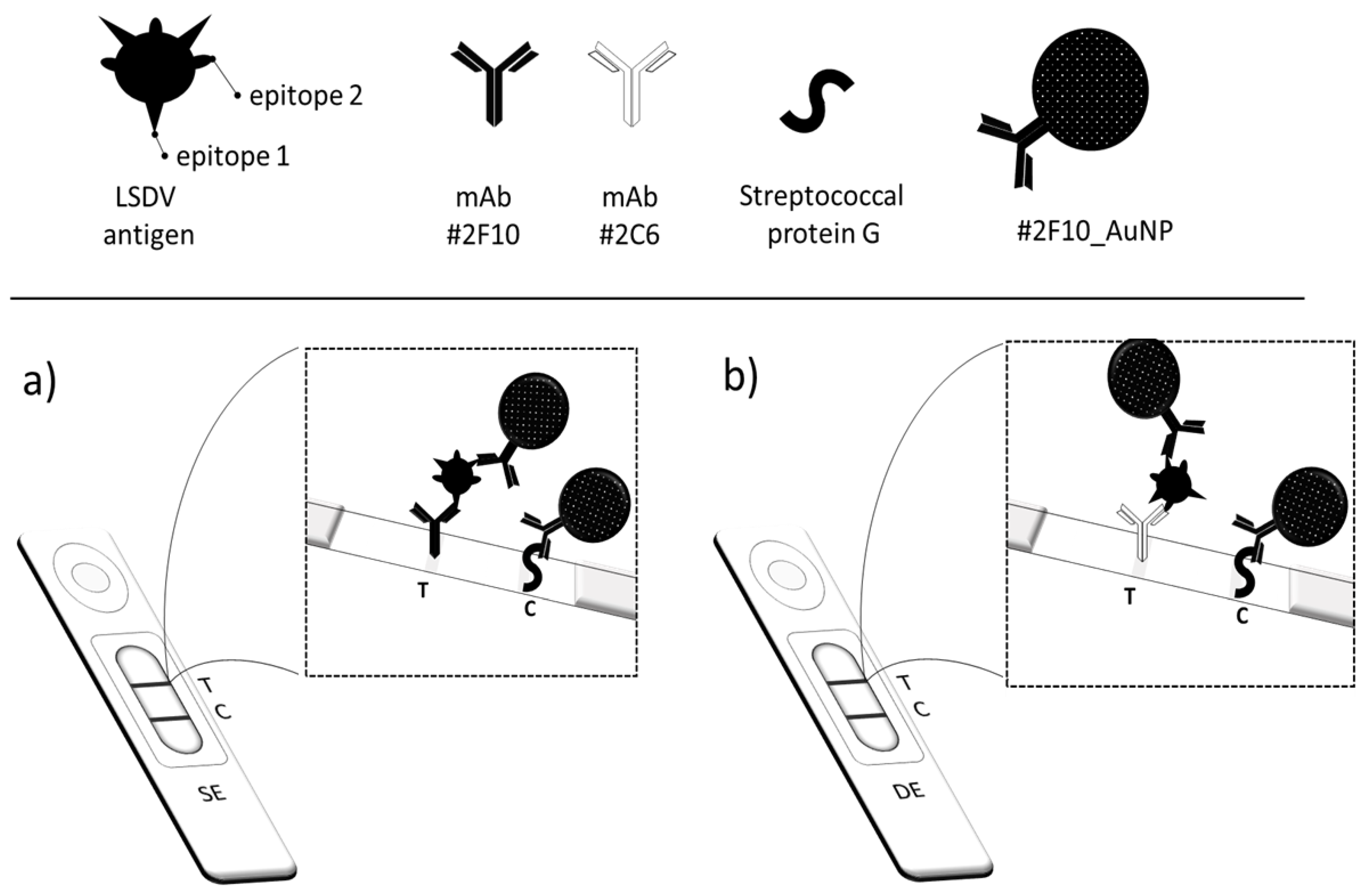 Biosensors Free FullText Investigation of the “Antigen Hook Effect