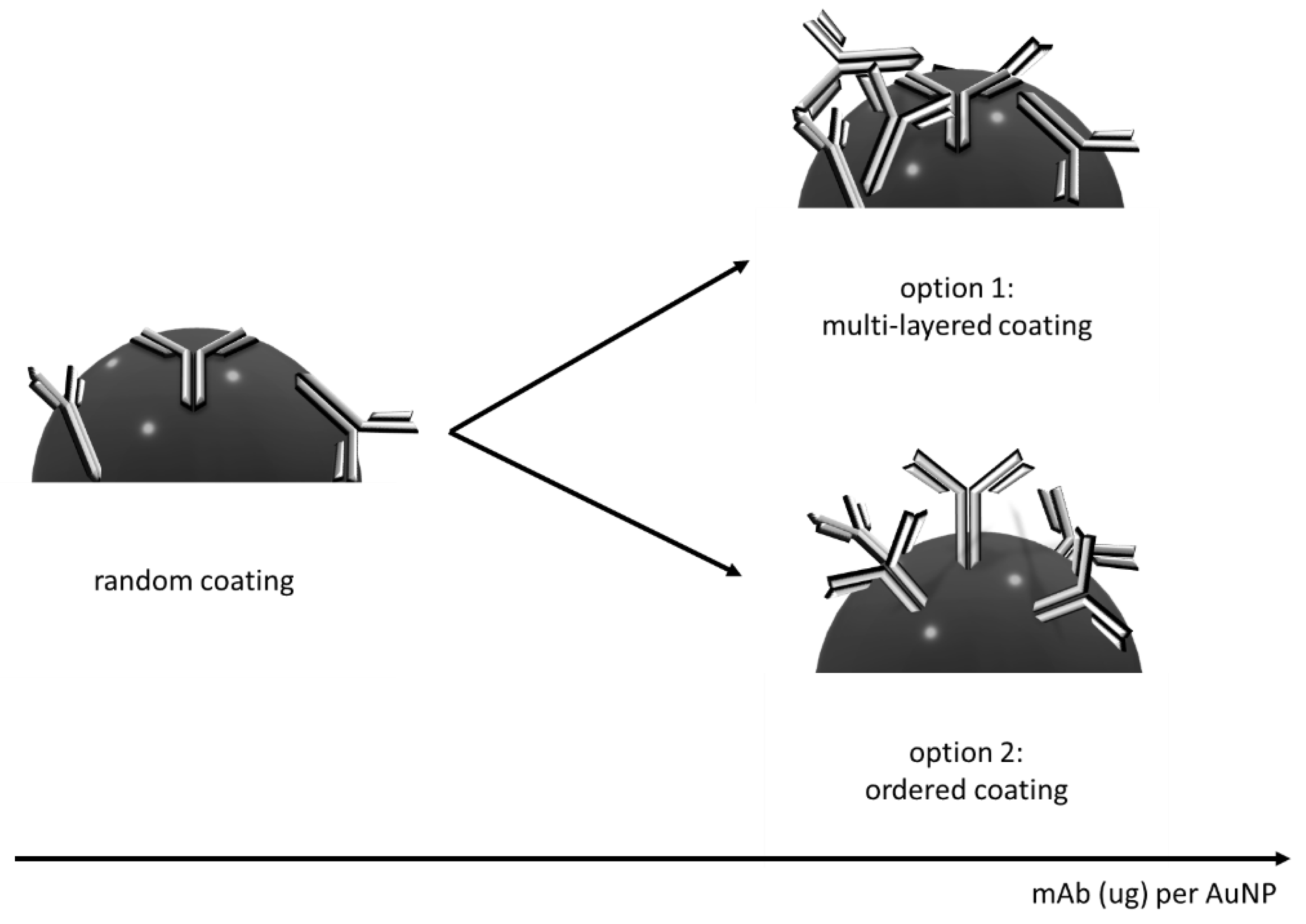 Biosensors 12 00739 g002