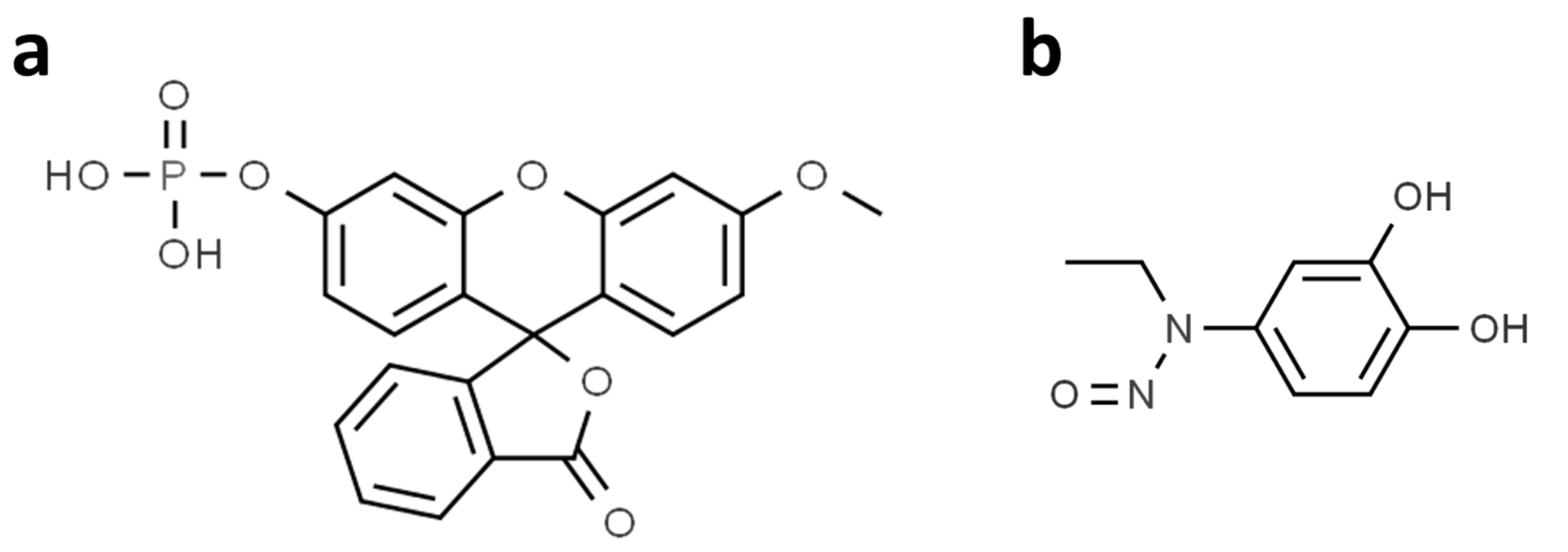 Biosensors 12 00740 g001 550