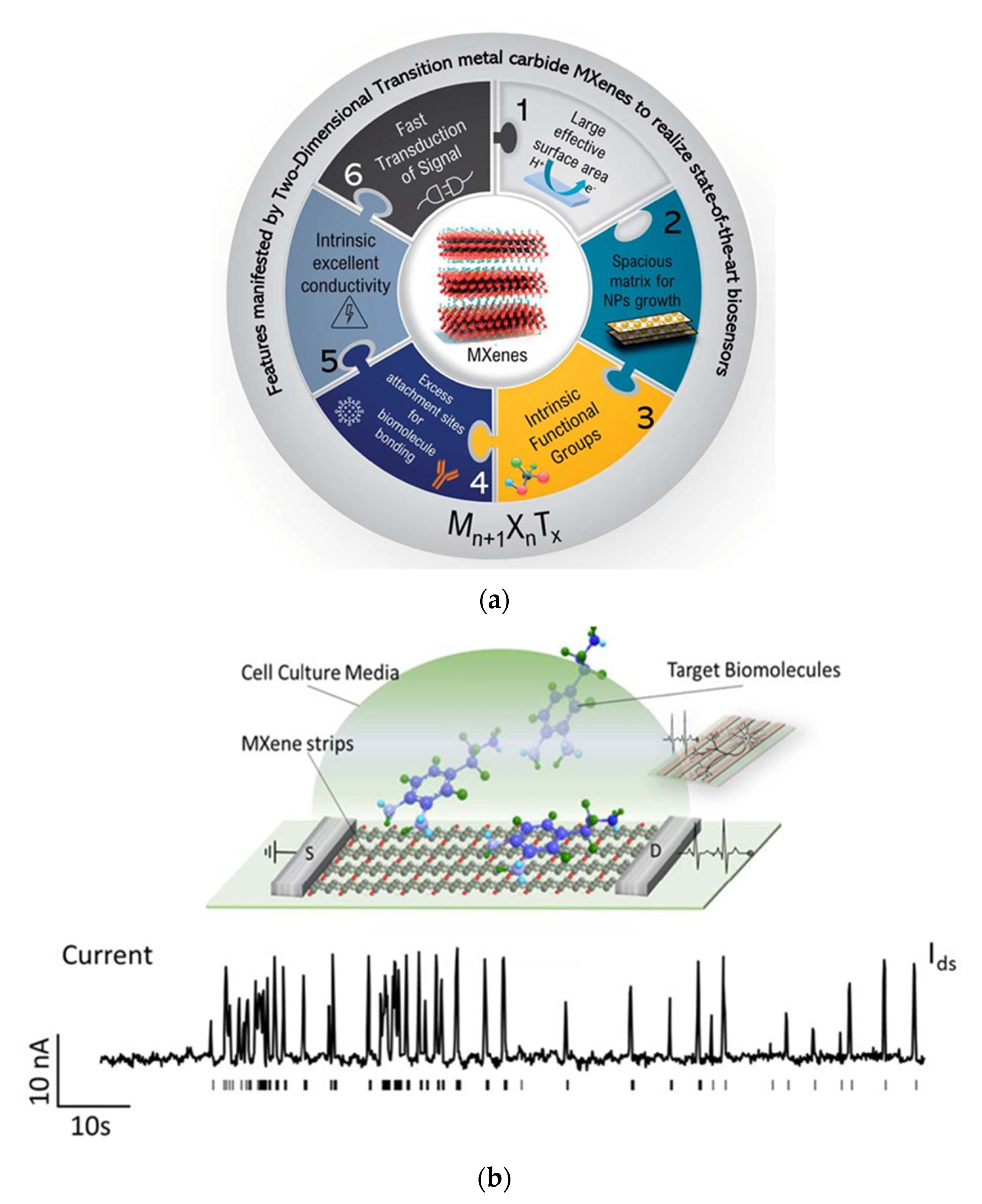 Biosensors 12 00743 g005 550