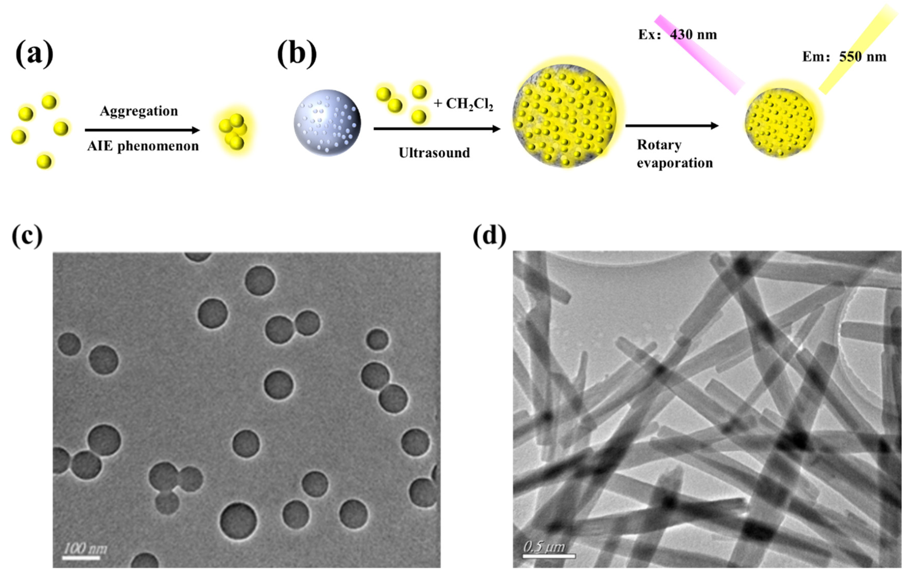 Biosensors 12 00745 g002a