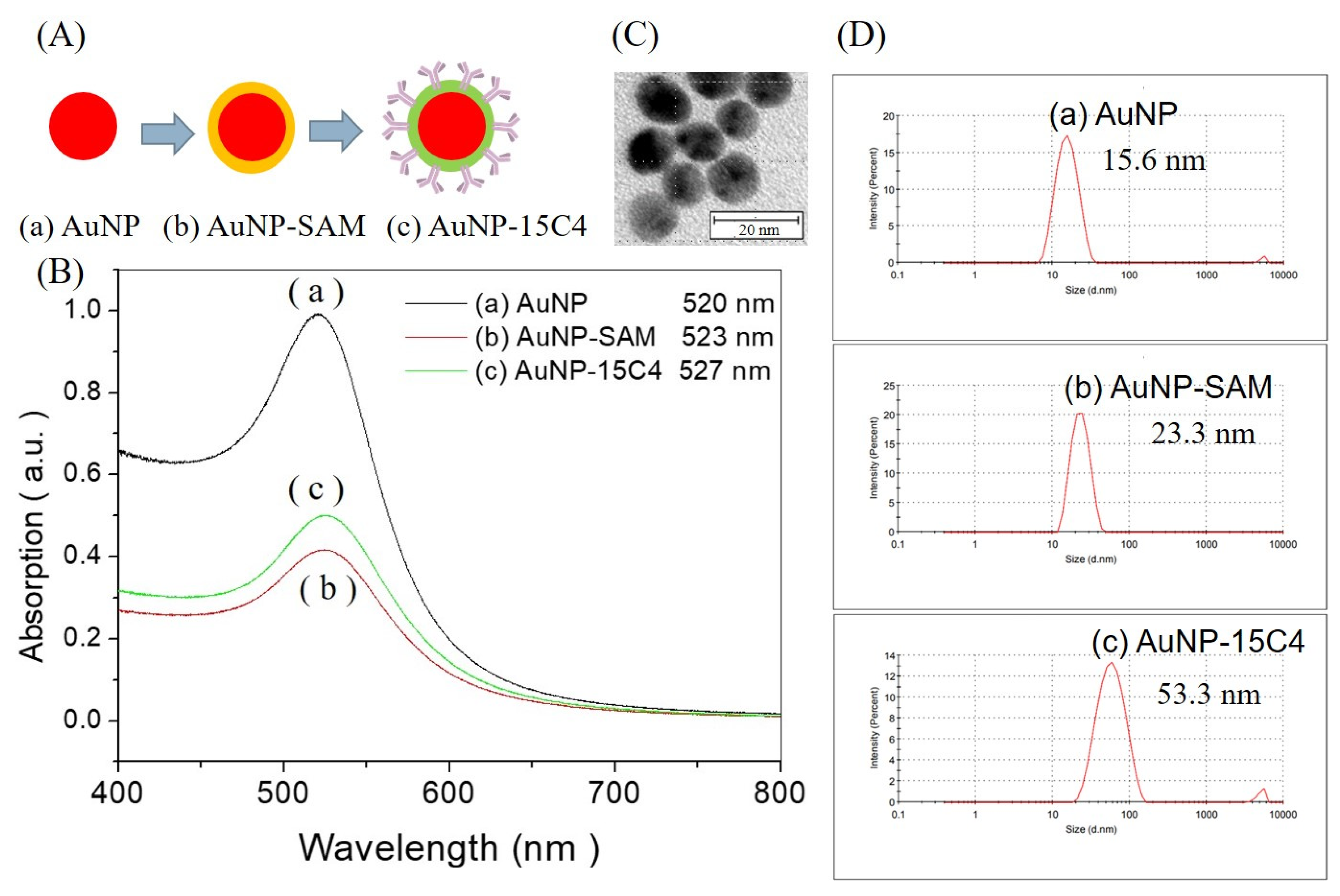 Biosensors 12 00746 g003