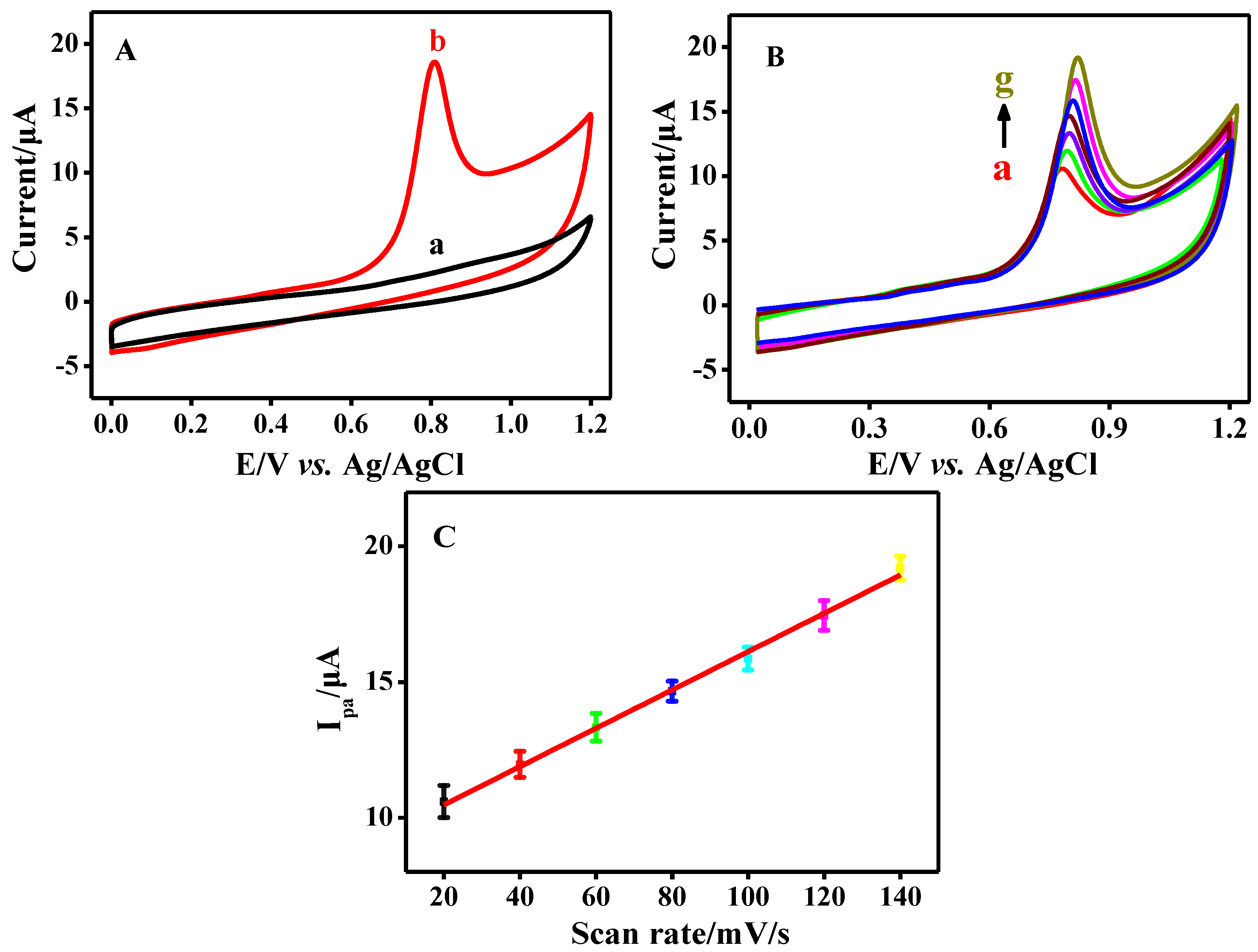 Biosensors 12 00747 g001 Biosensors 12 00747 g001
