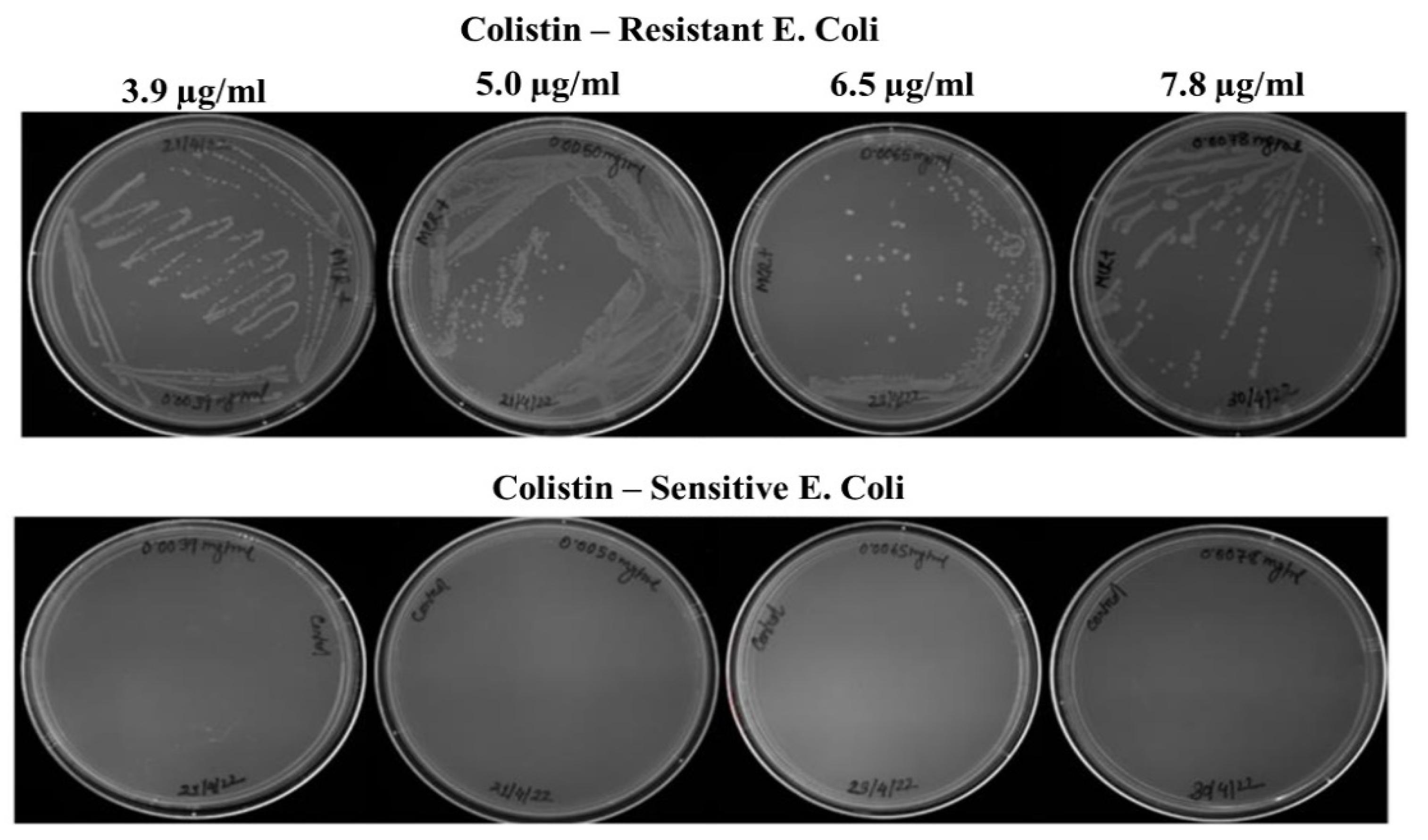 Biosensors 12 00749 g001 Biosensors 12 00749 g001
