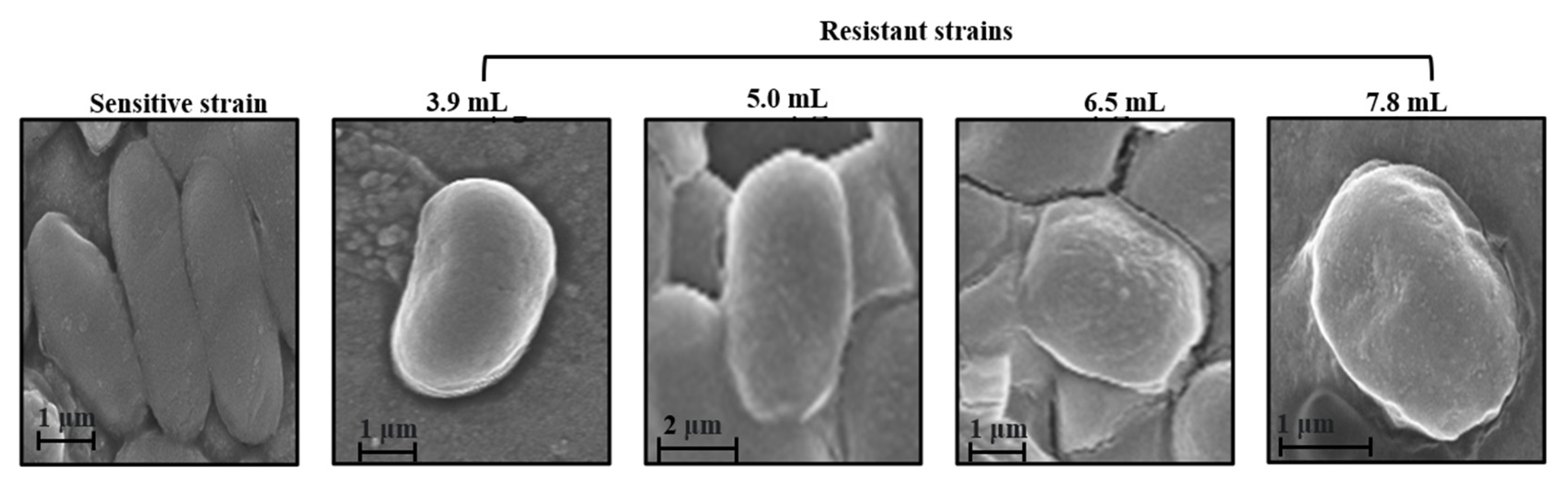 Biosensors 12 00749 g006 Biosensors 12 00749 g006