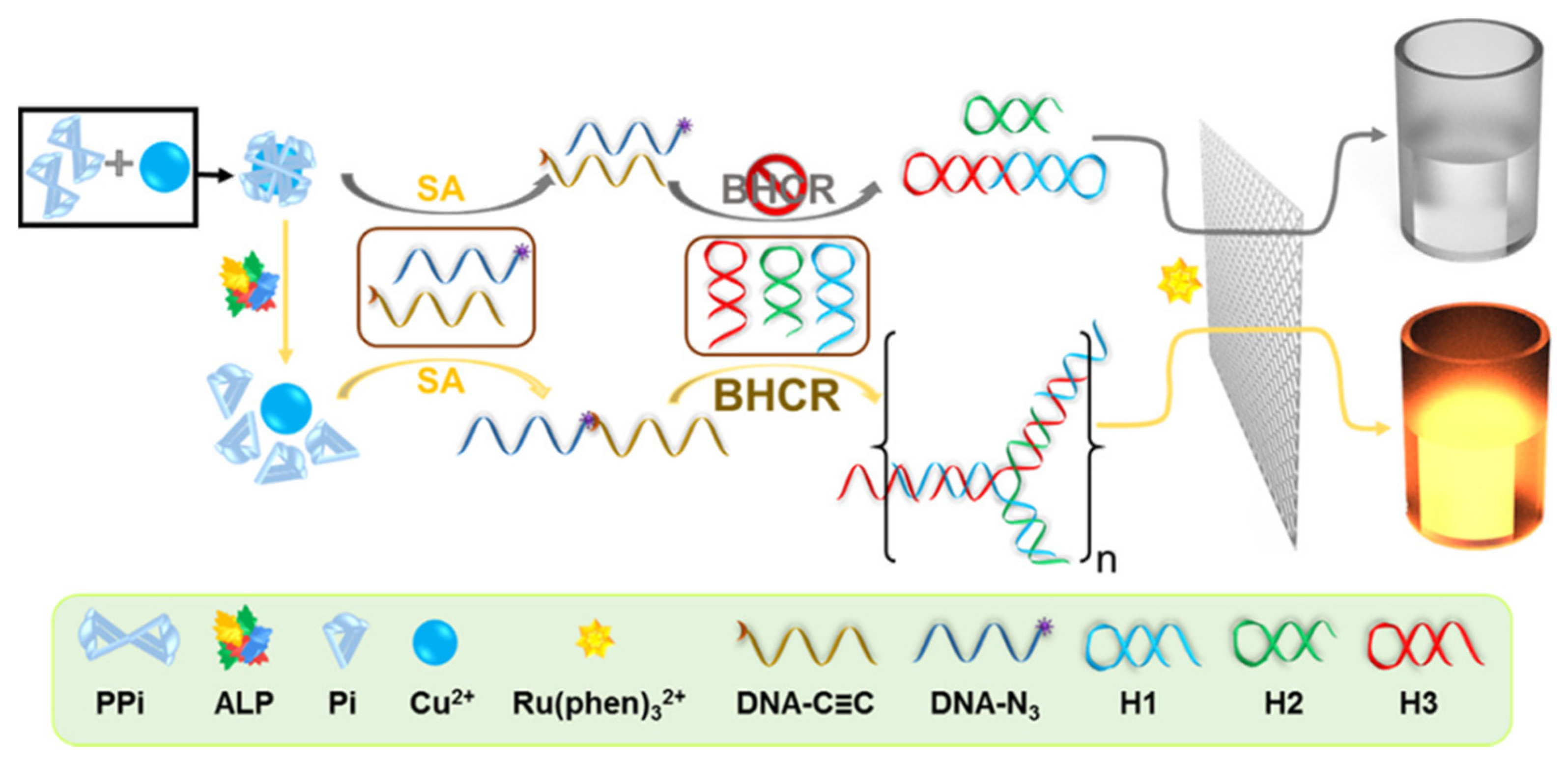 Biosensors 12 00750 g002 550