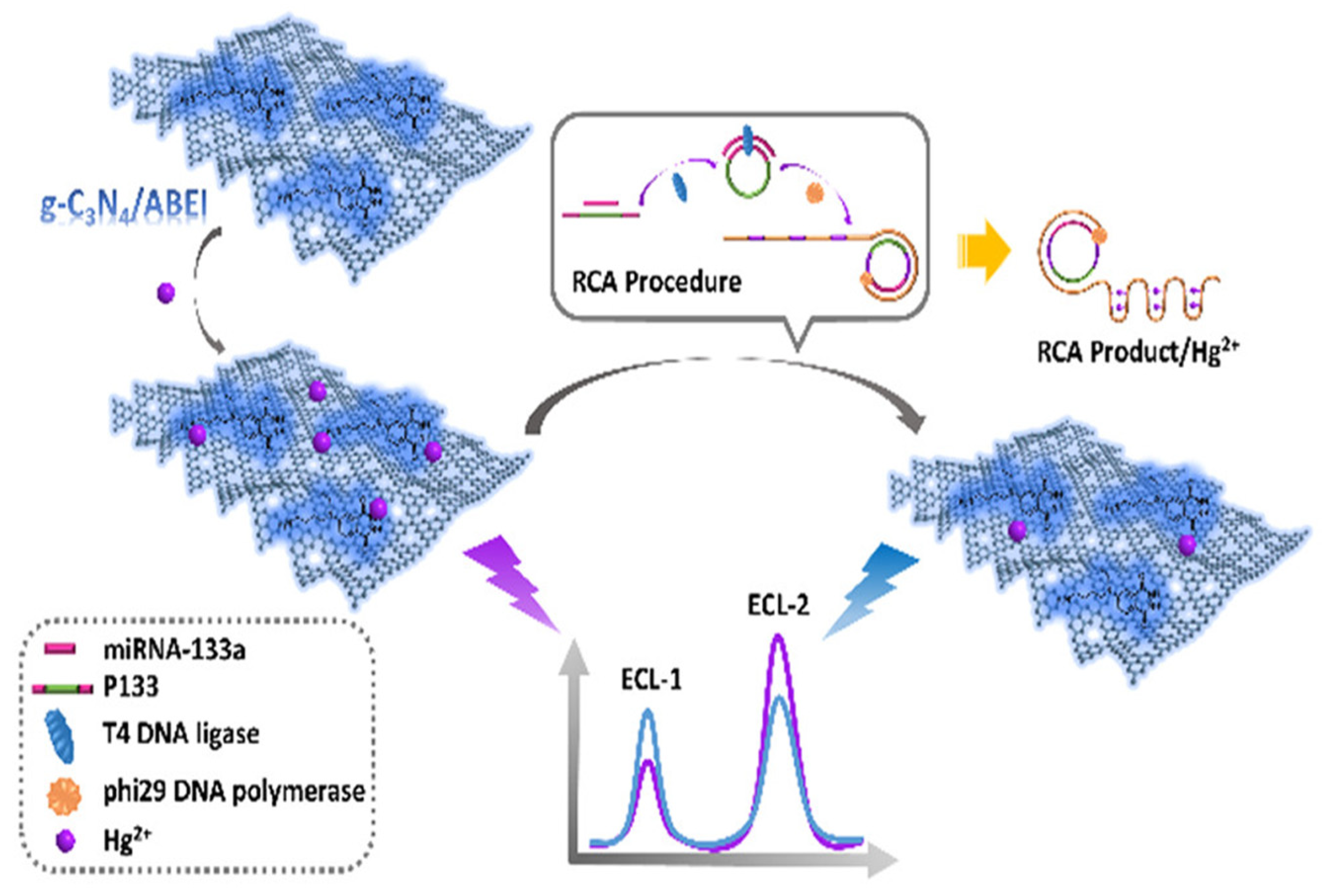 Biosensors 12 00750 g005 550