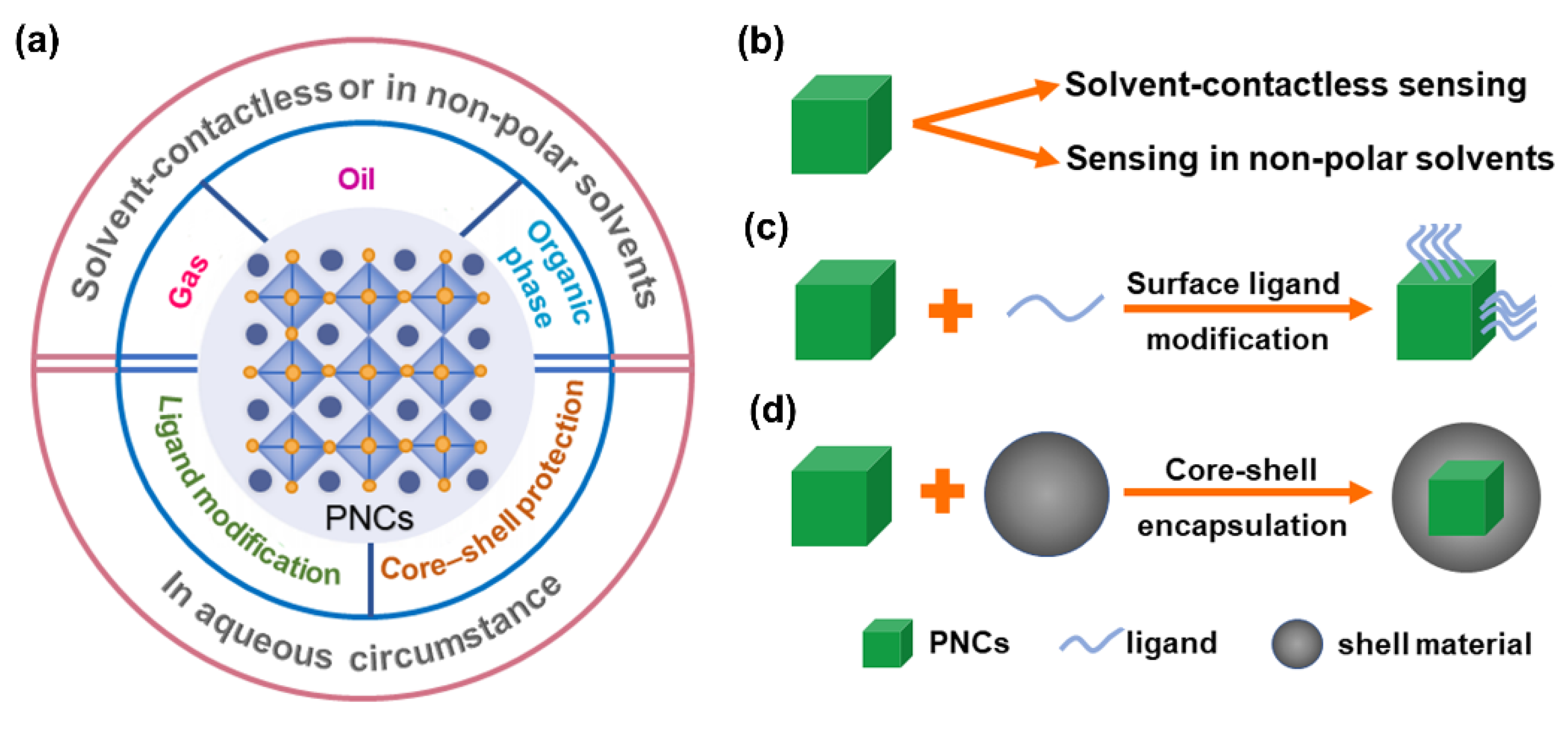 Biosensors 12 00754 g001 550