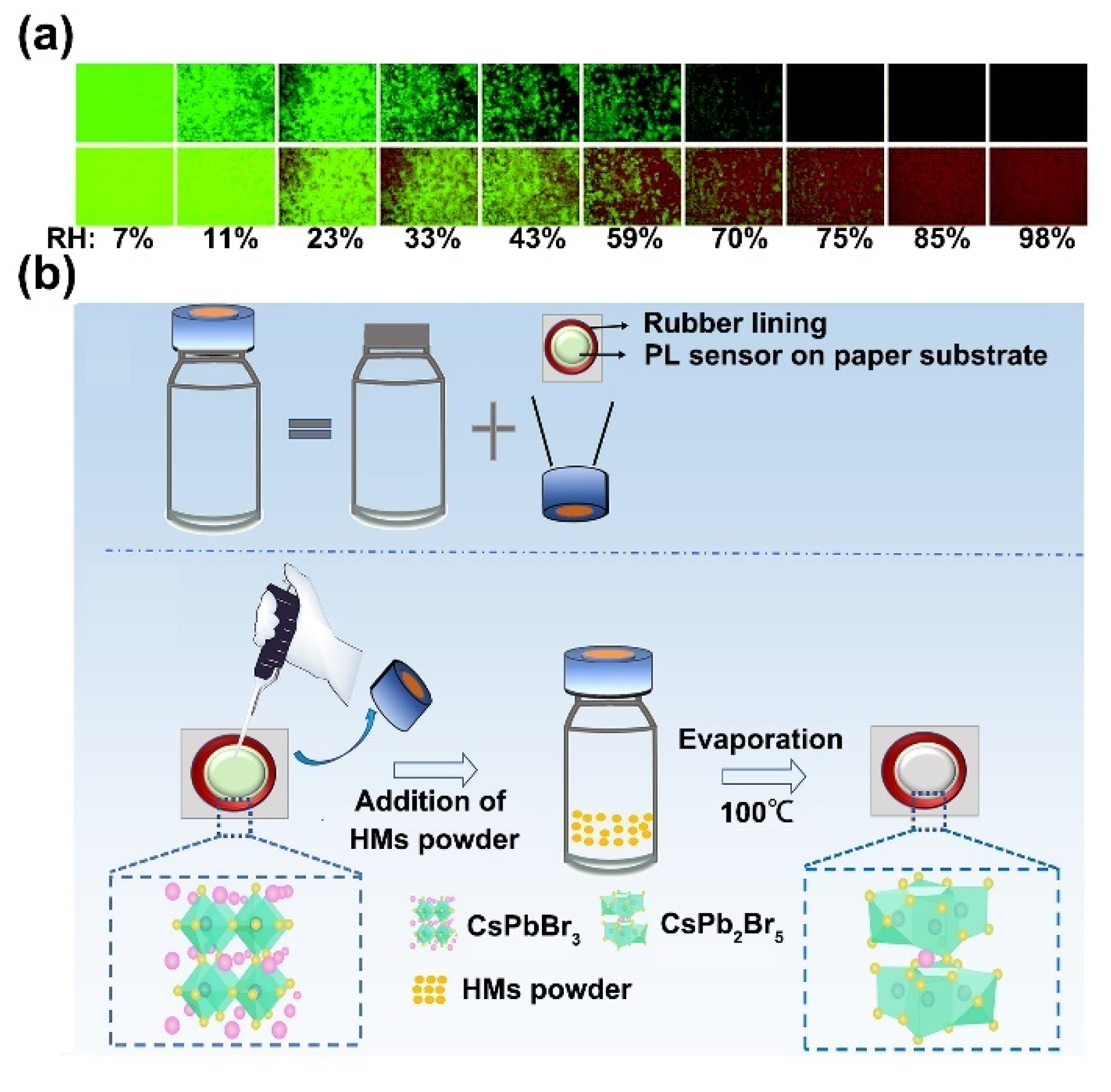 Biosensors 12 00754 g002 550