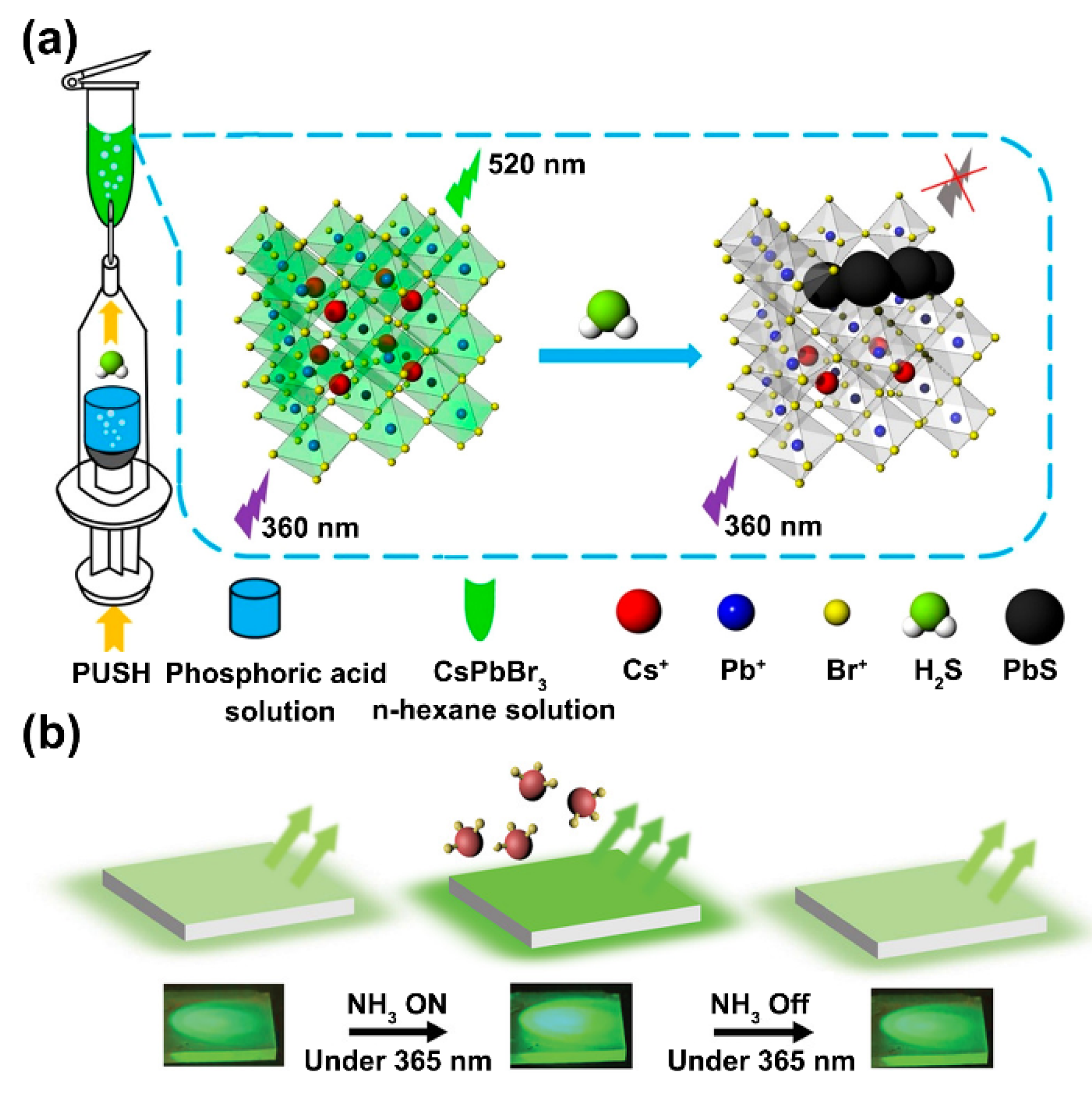 Biosensors 12 00754 g003 550