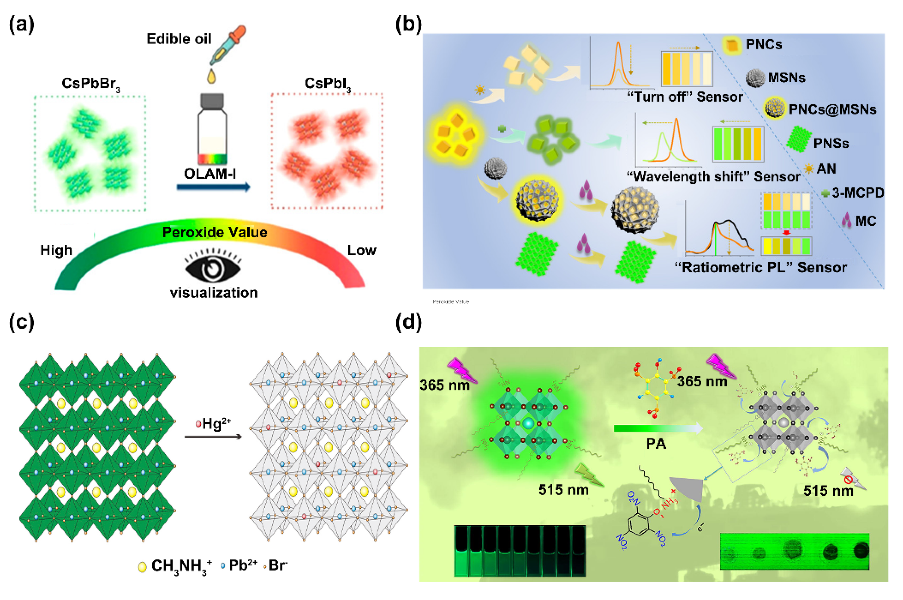 Biosensors 12 00754 g004 550