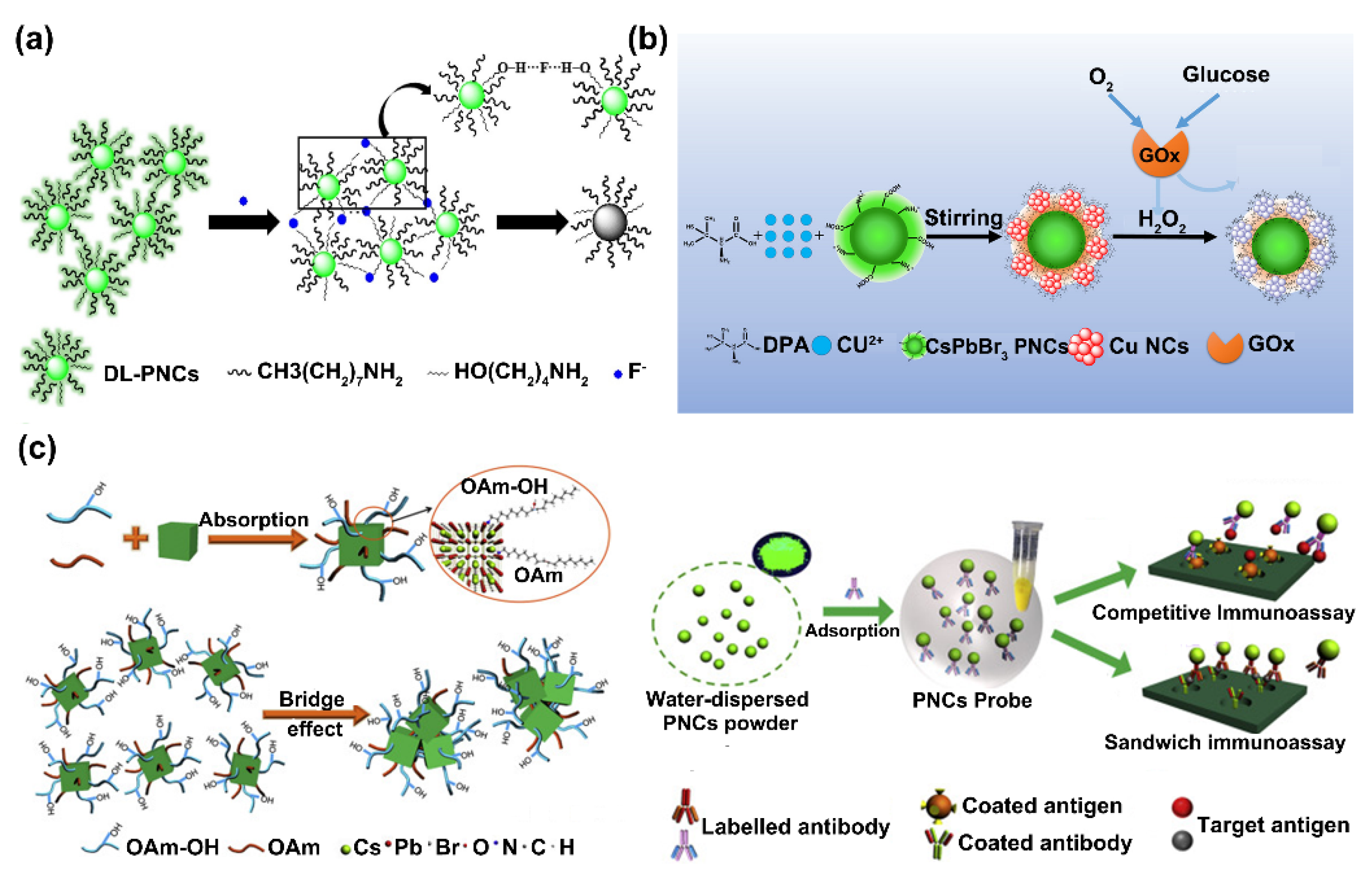 Biosensors 12 00754 g005 550