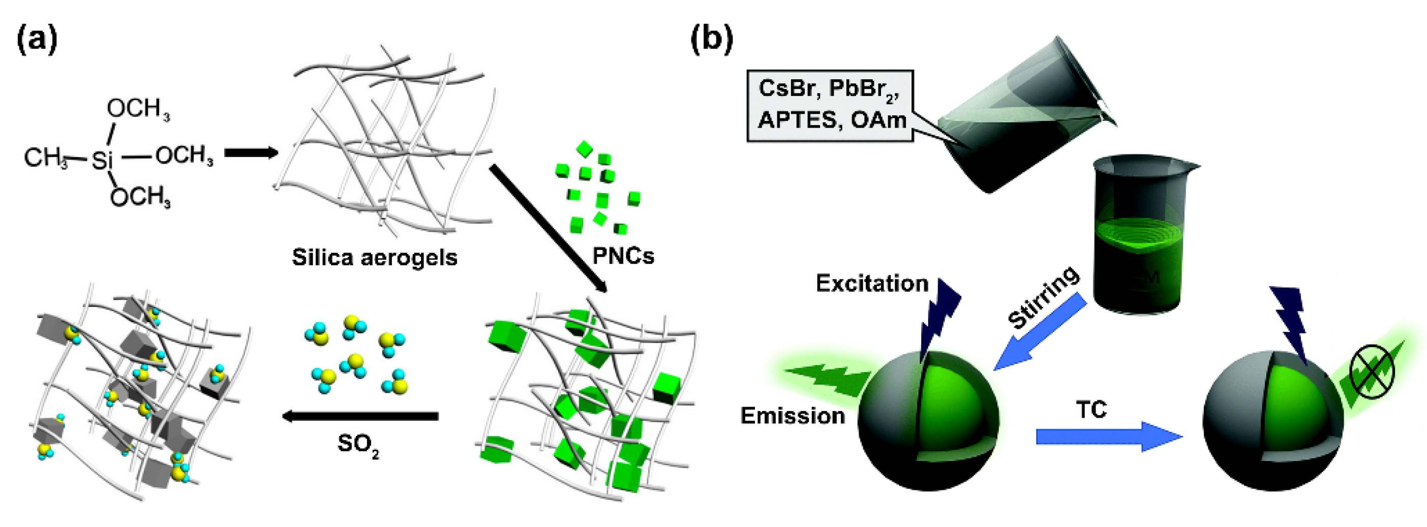 Biosensors 12 00754 g008 550