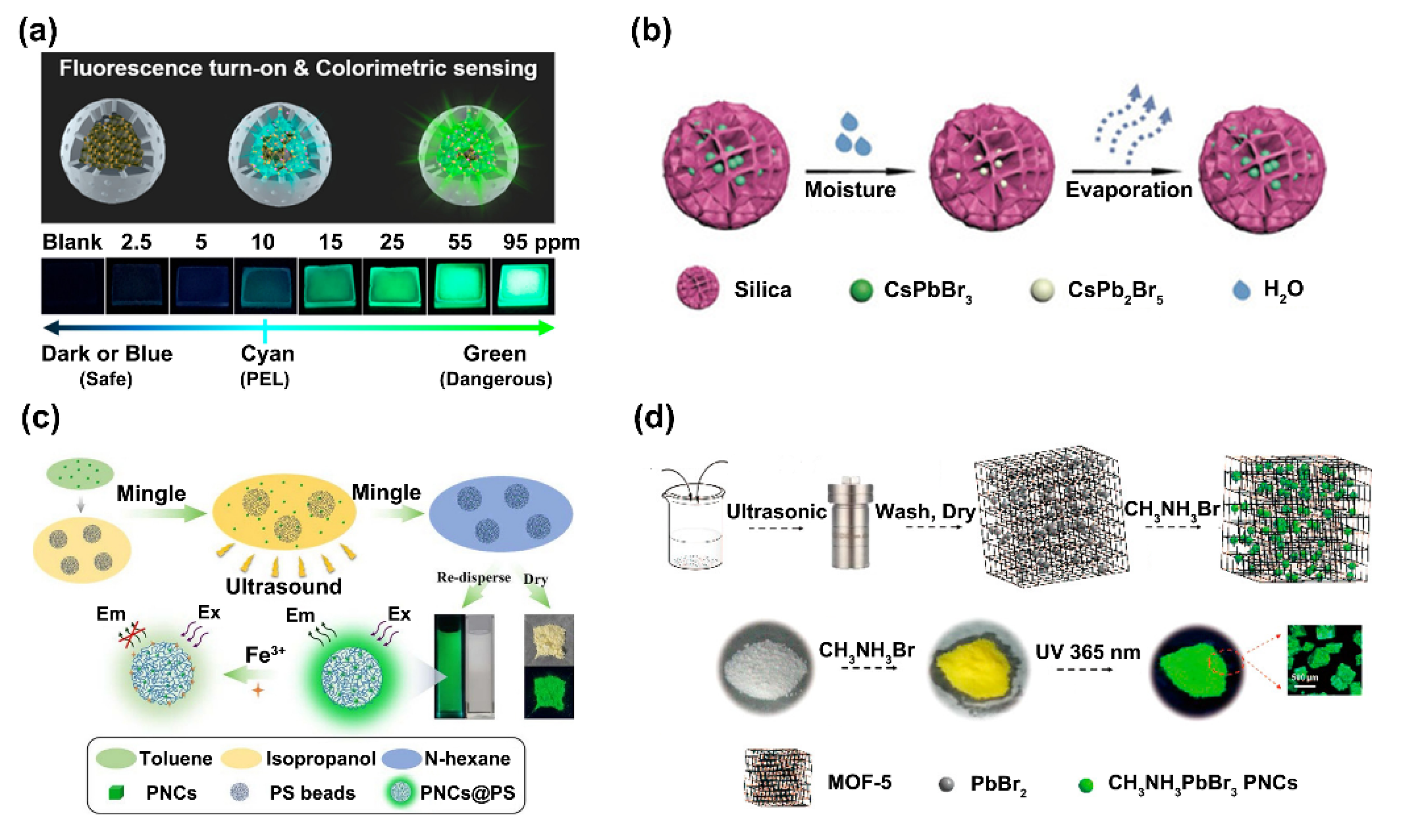 Biosensors 12 00754 g009 550