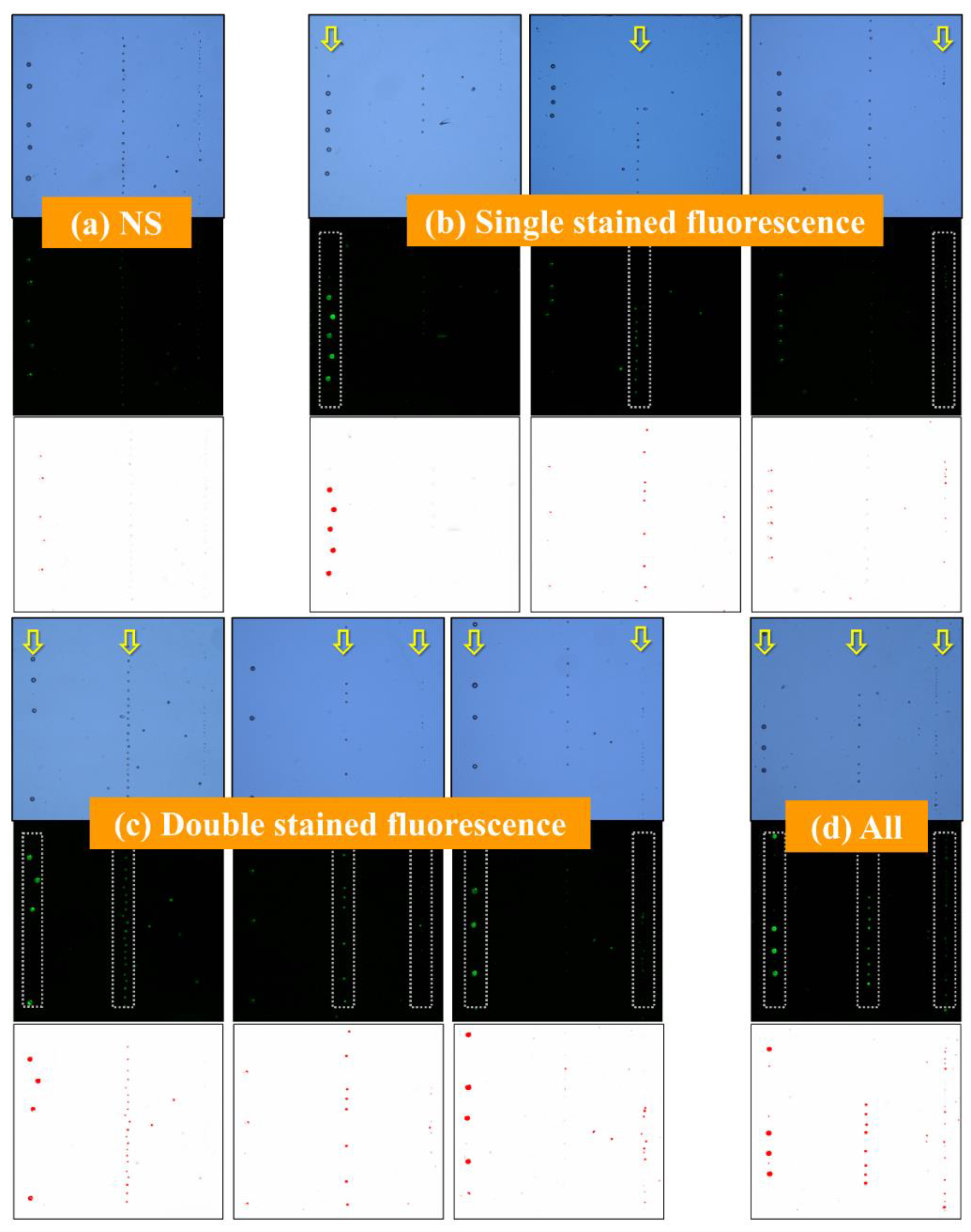 Biosensors 12 00755 g006