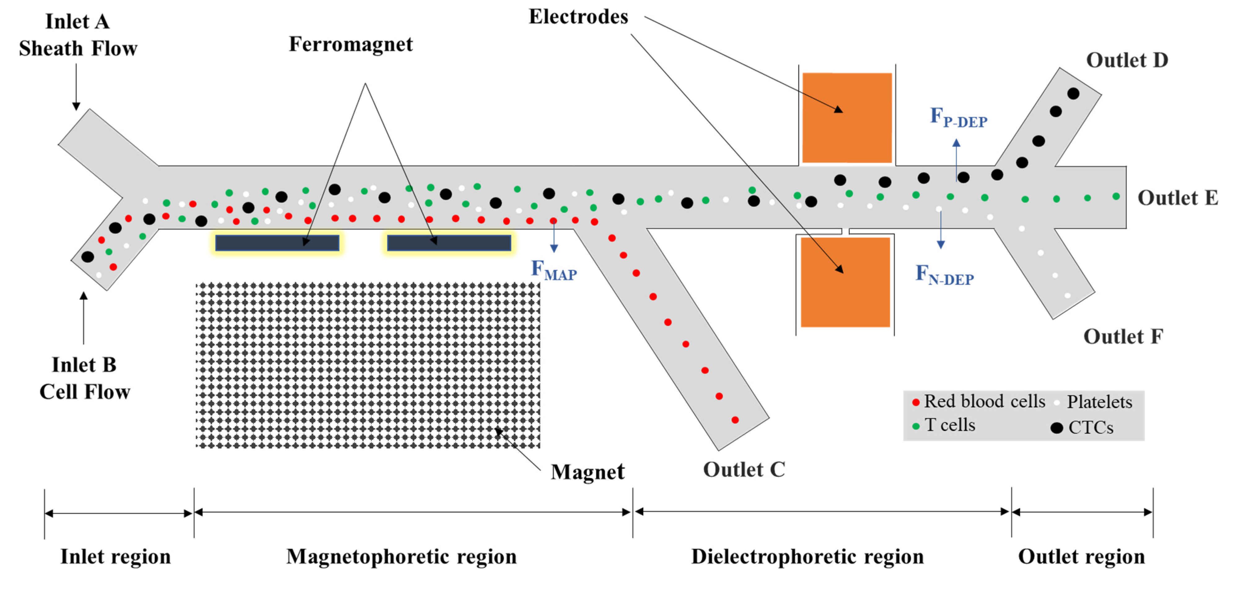 Biosensors | Free Full-Text | Implementation of an Integrated ...