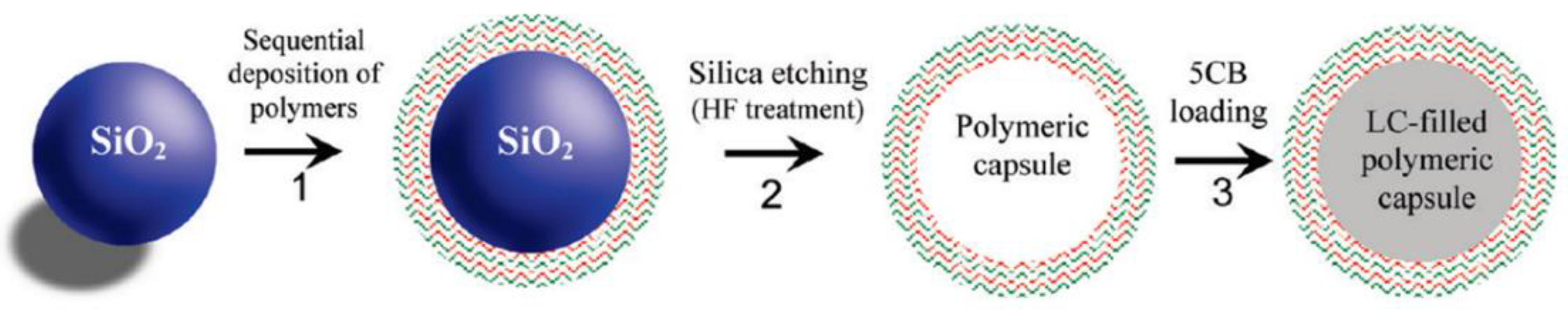 Biosensors 12 00758 g001 Biosensors 12 00758 g001