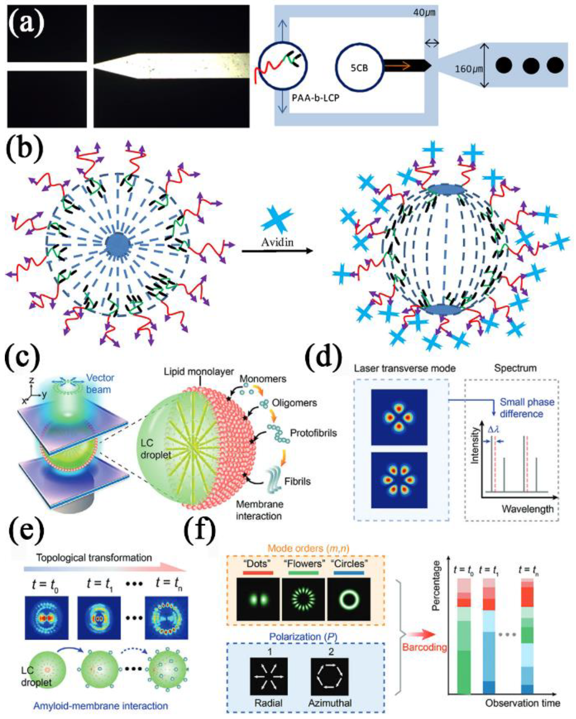 Biosensors 12 00758 g008 Biosensors 12 00758 g008