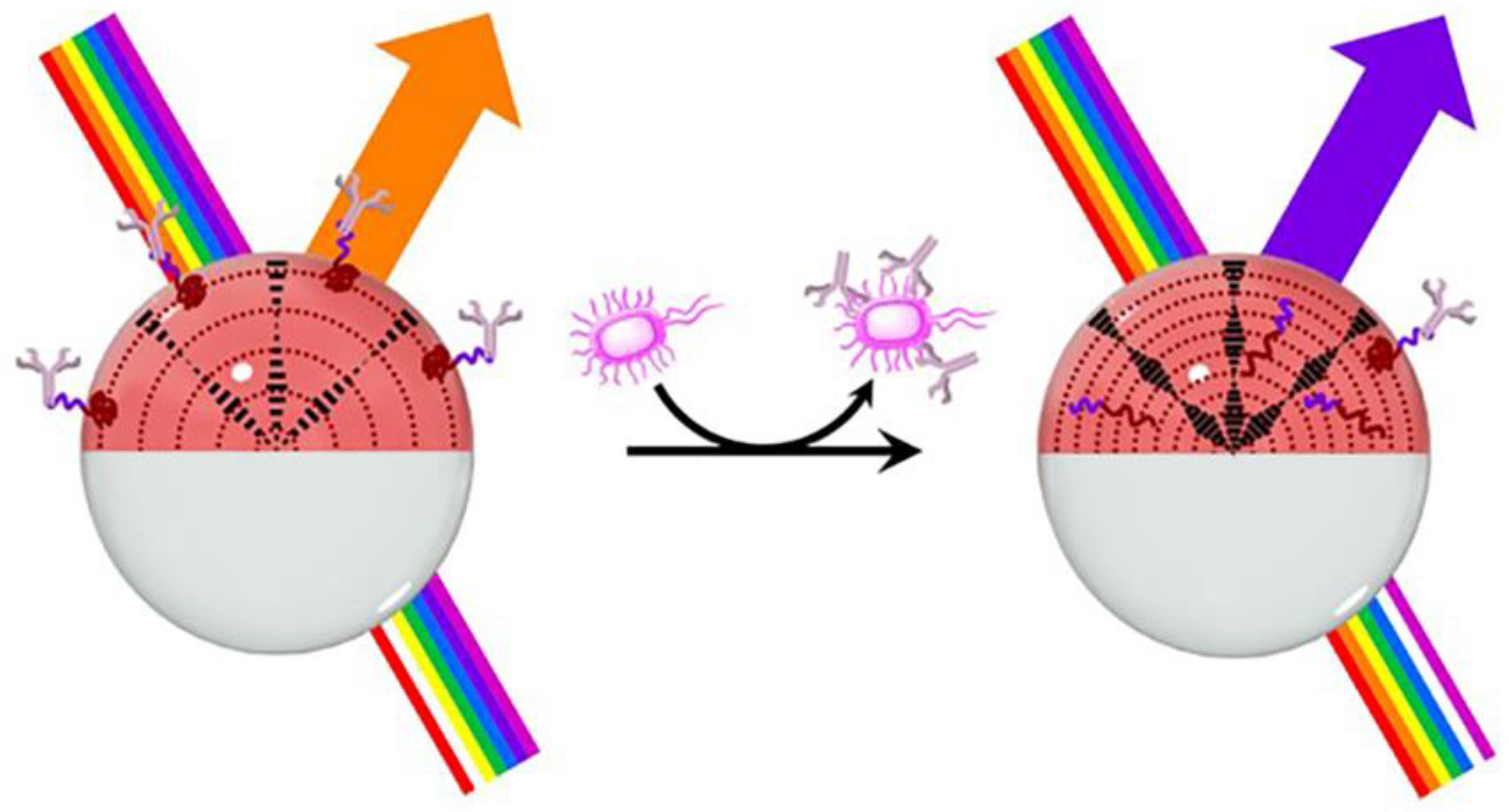 Biosensors 12 00758 g010 Biosensors 12 00758 g010