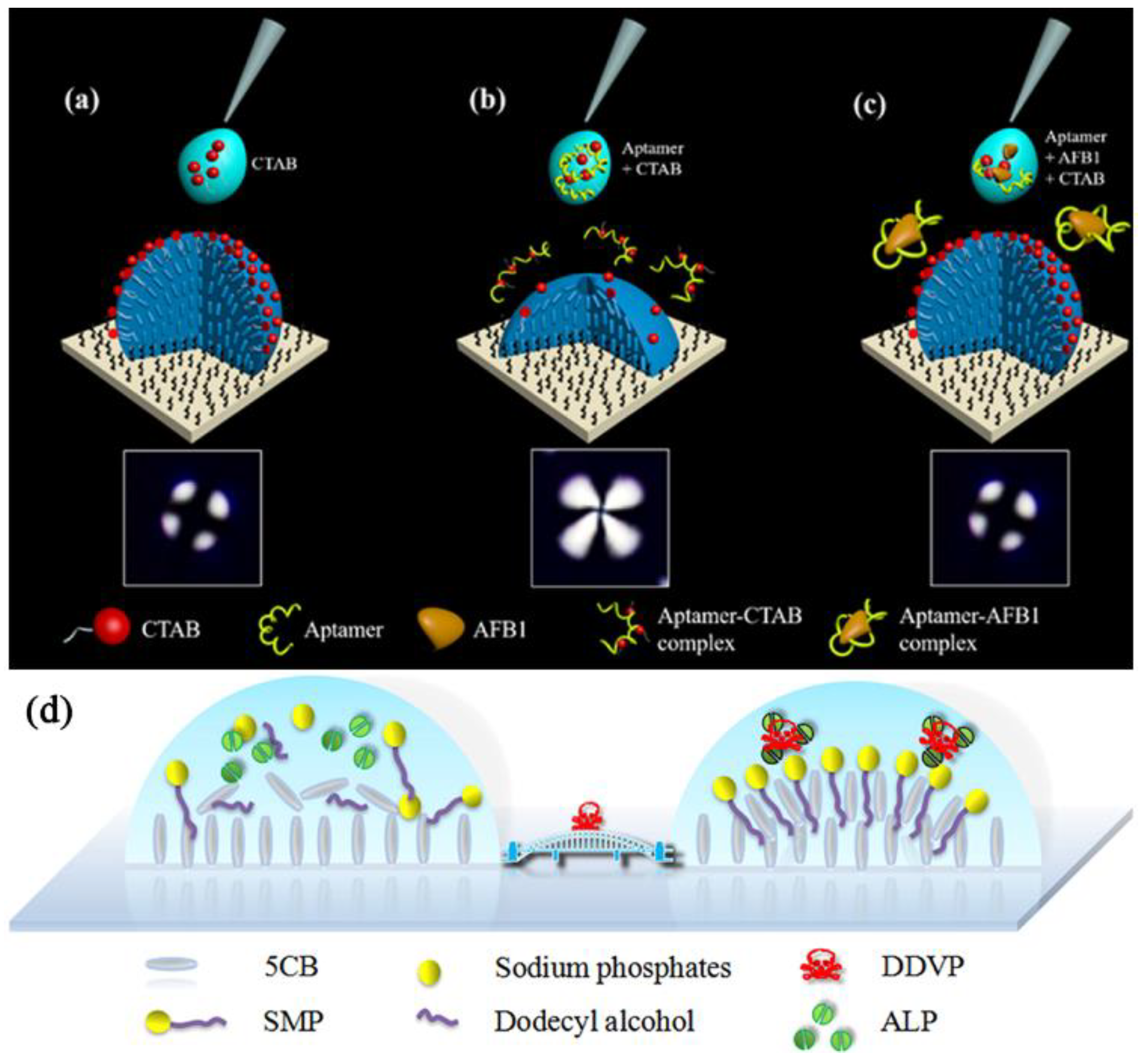 Biosensors 12 00758 g011 Biosensors 12 00758 g011