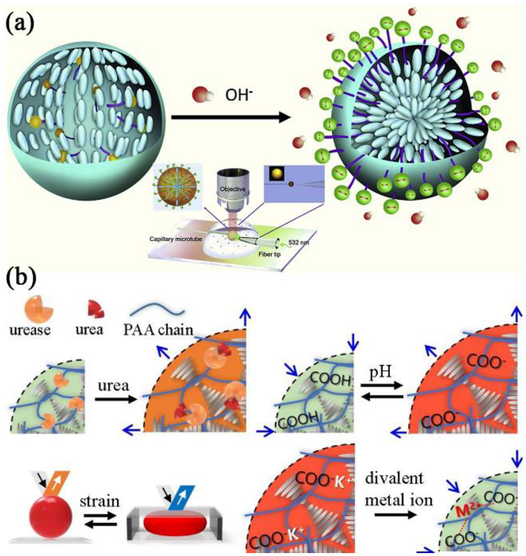 Biosensors 12 00758 g012 Biosensors 12 00758 g012