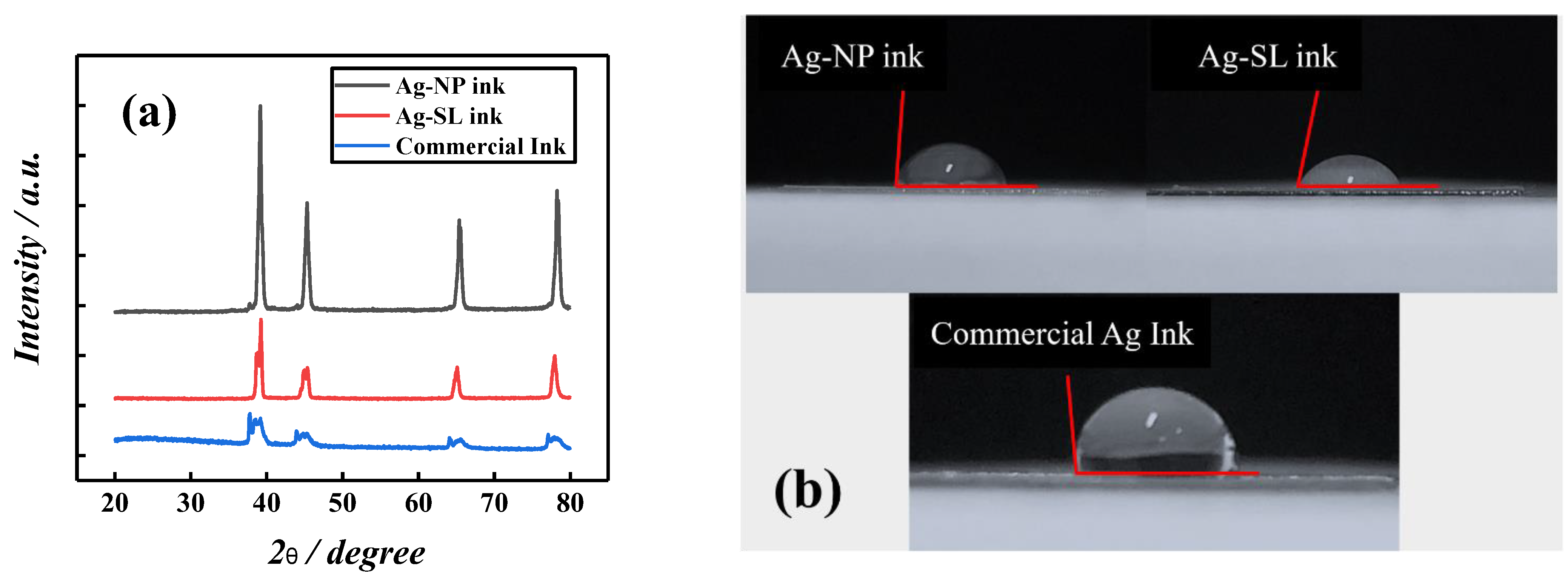 Biosensors 12 00761 g004