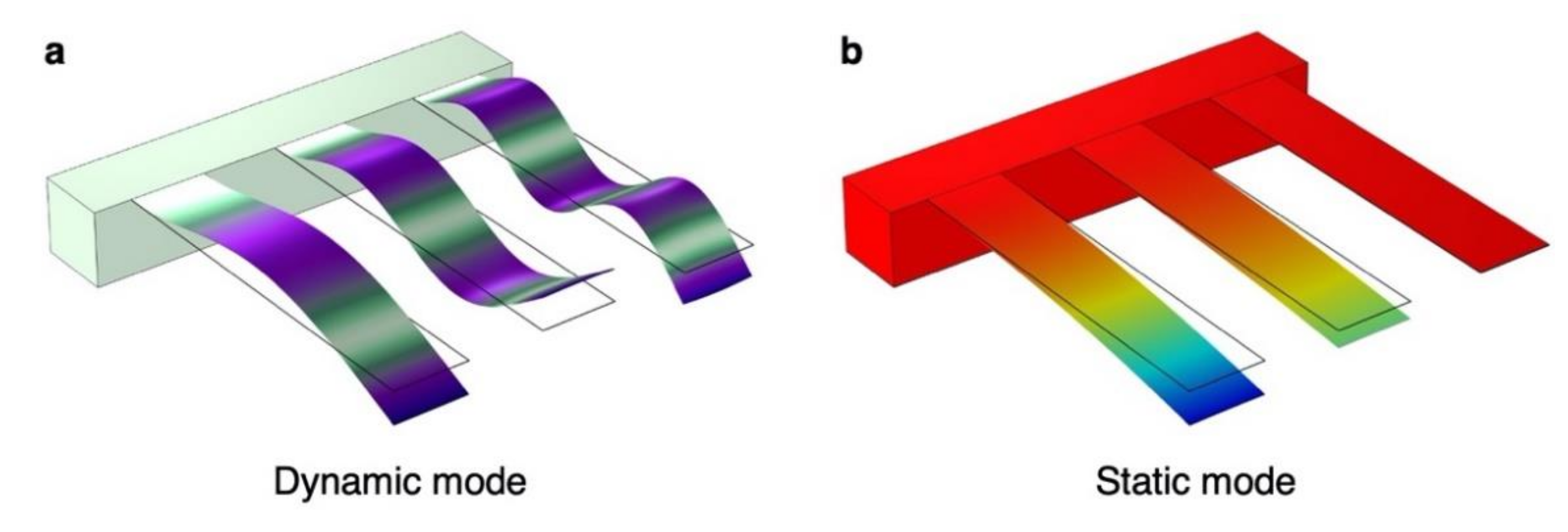 Biosensors 12 00762 g003 Biosensors 12 00762 g003