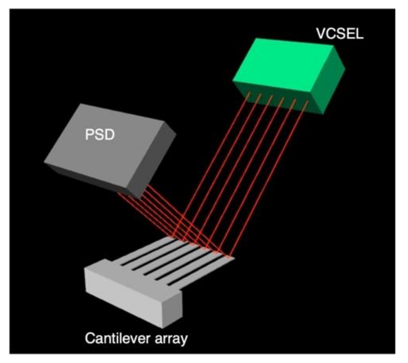 Biosensors 12 00762 g008 Biosensors 12 00762 g008