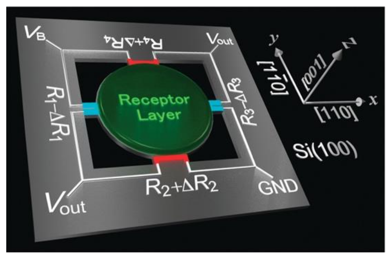 Biosensors 12 00762 g009 Biosensors 12 00762 g009