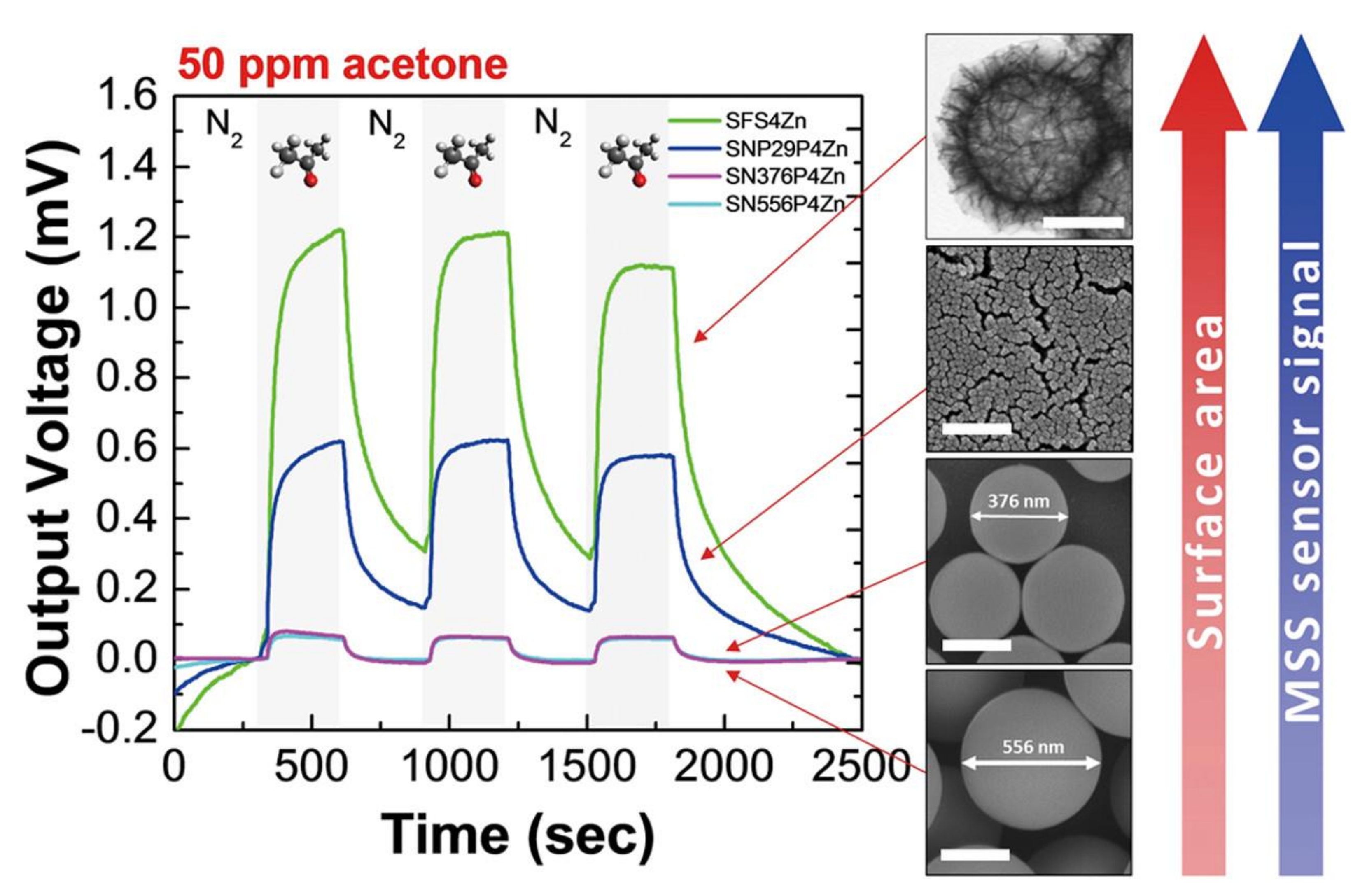 Biosensors 12 00762 g011 Biosensors 12 00762 g011